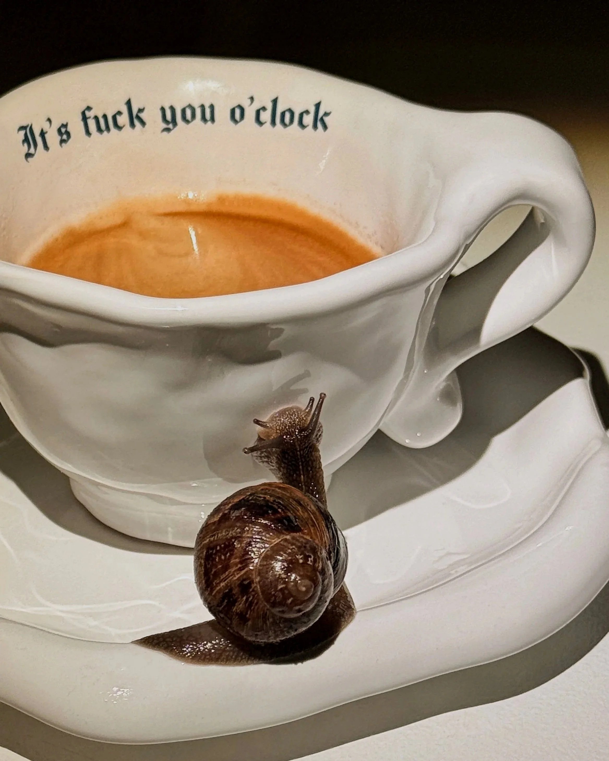 A coffee mug with the phrase 'It's fuck you o'clock' printed inside, containing coffee, on a white surface with a snail and a spider nearby.