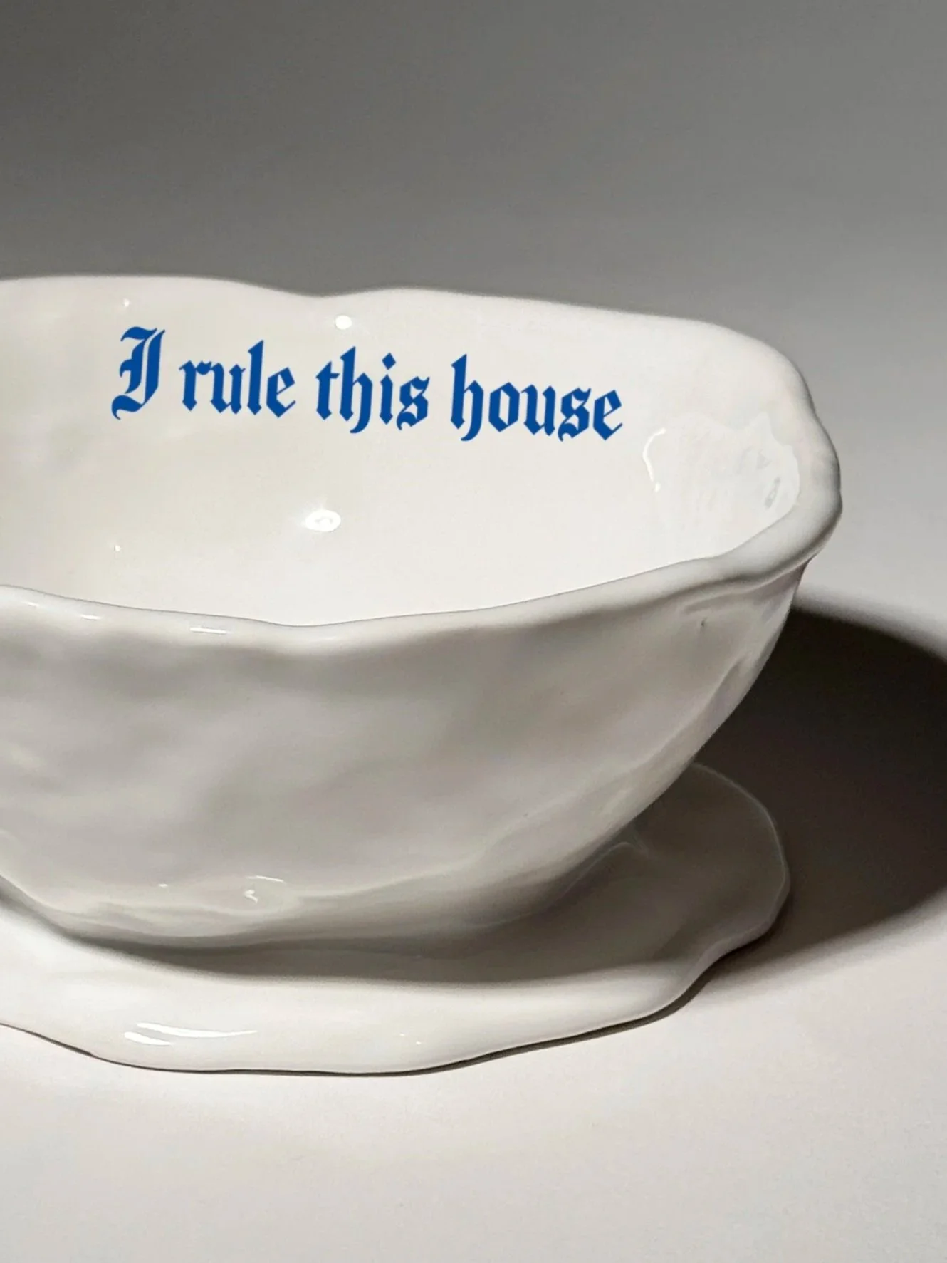 Issues Pet Bowl - "I rule this house"