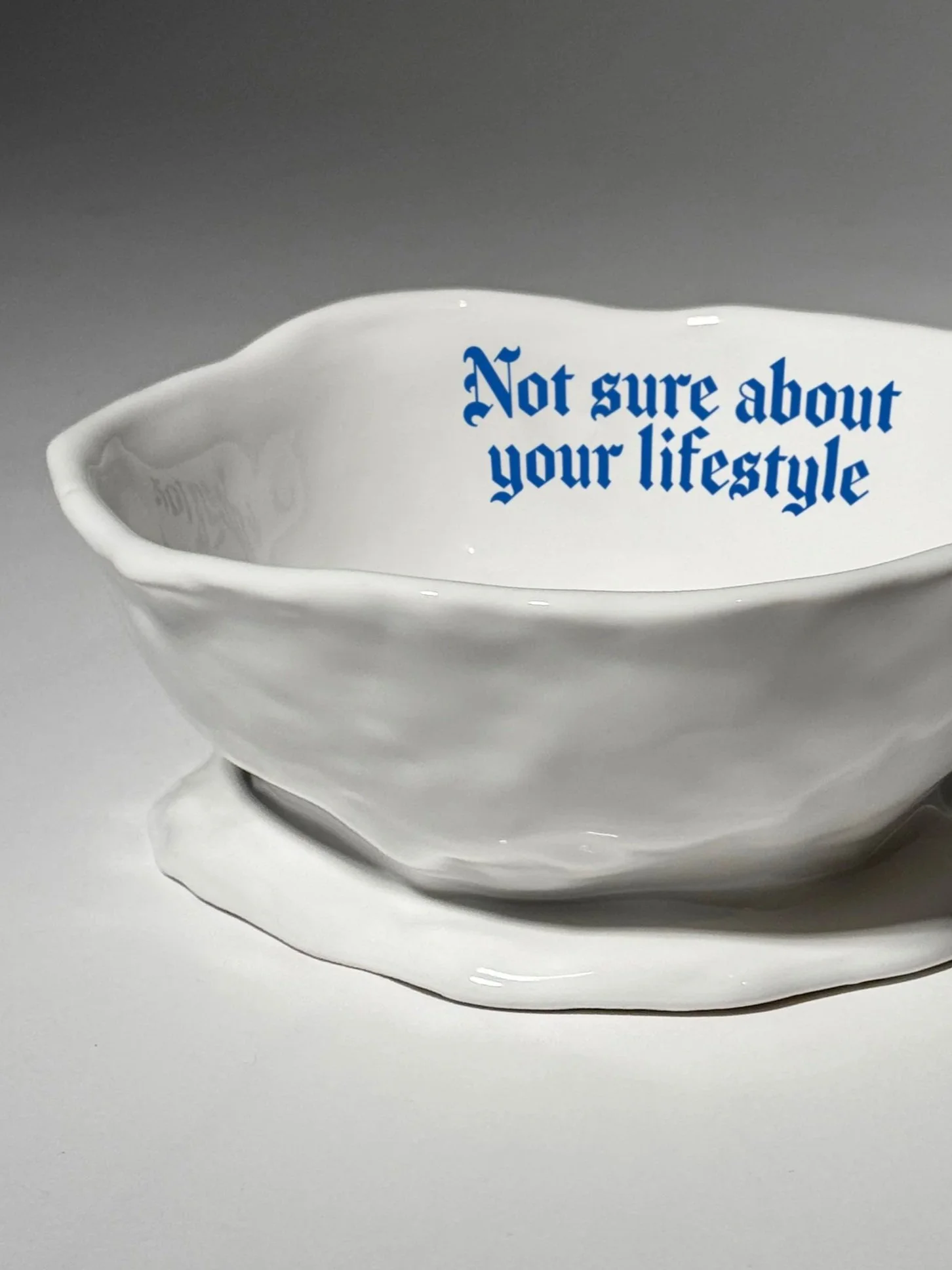 Issues Pet Bowl - "Not sure about your lifestyle"