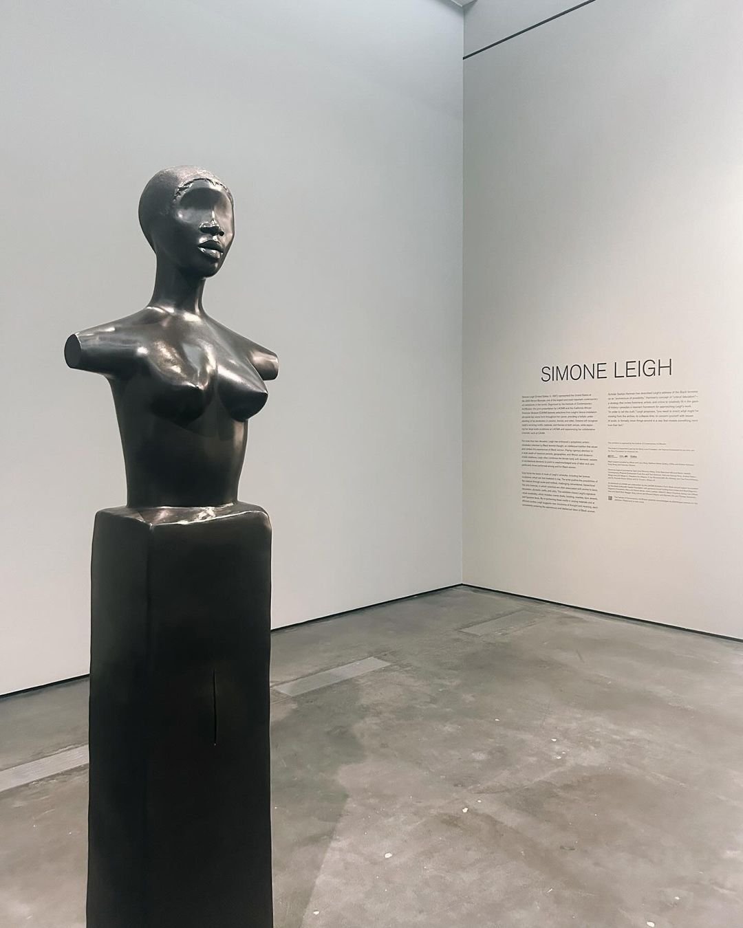 Field Notes: Los Angeles Contemporary Museum of Art’s “Simone Leigh” Exhibition — NOMMO Cultural Strategies