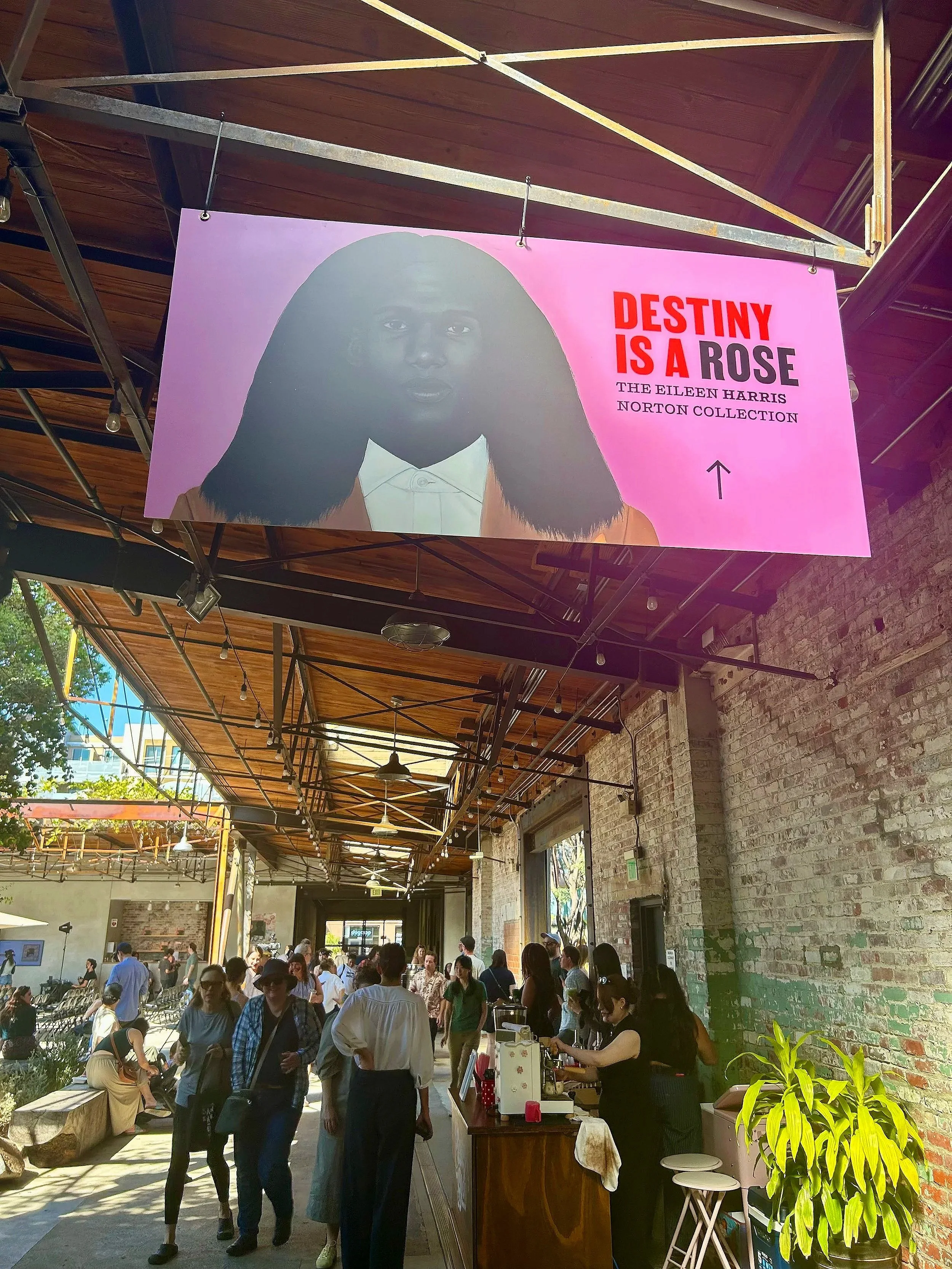 Desitiny is a Rose: Eileen Harris Norton Collection