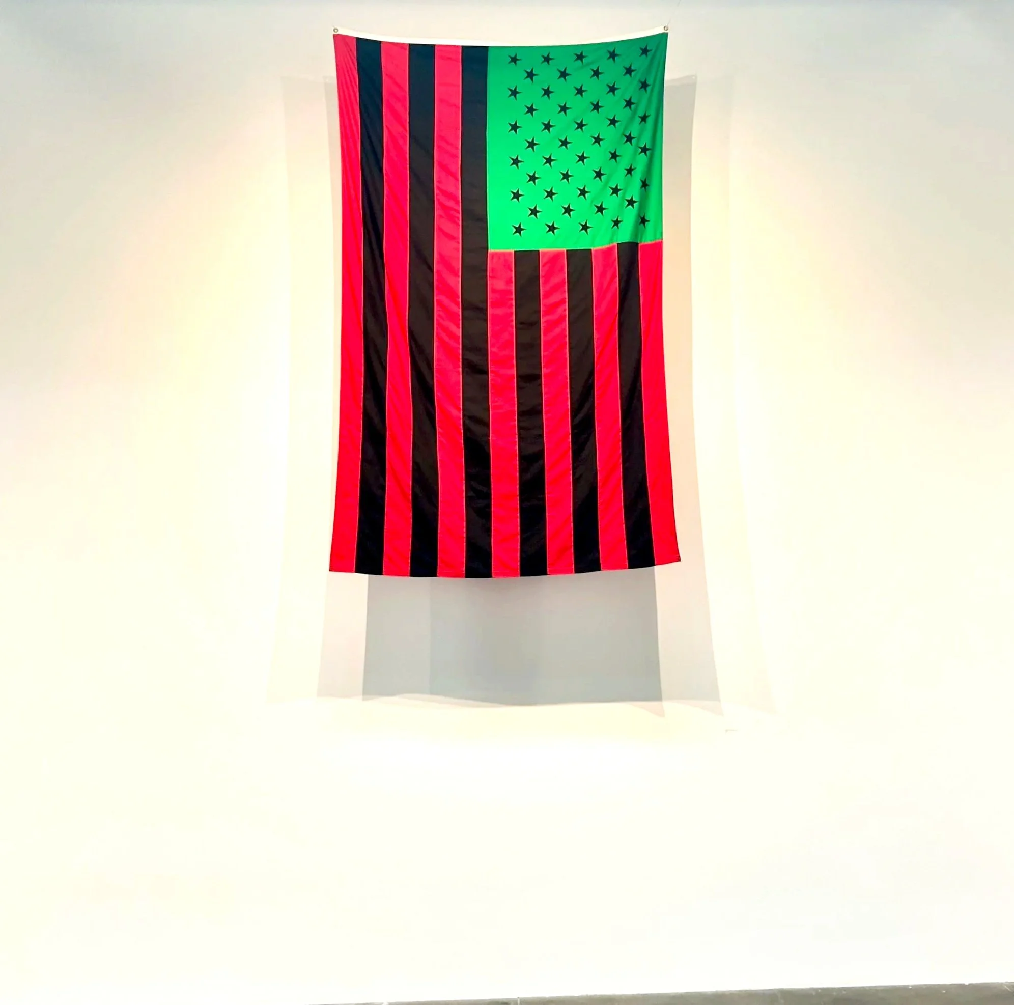 Desitiny is a Rose: Eileen Harris Norton Collection - David Hammons