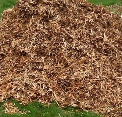 Tues, June 2, 2026: Wood Chipping