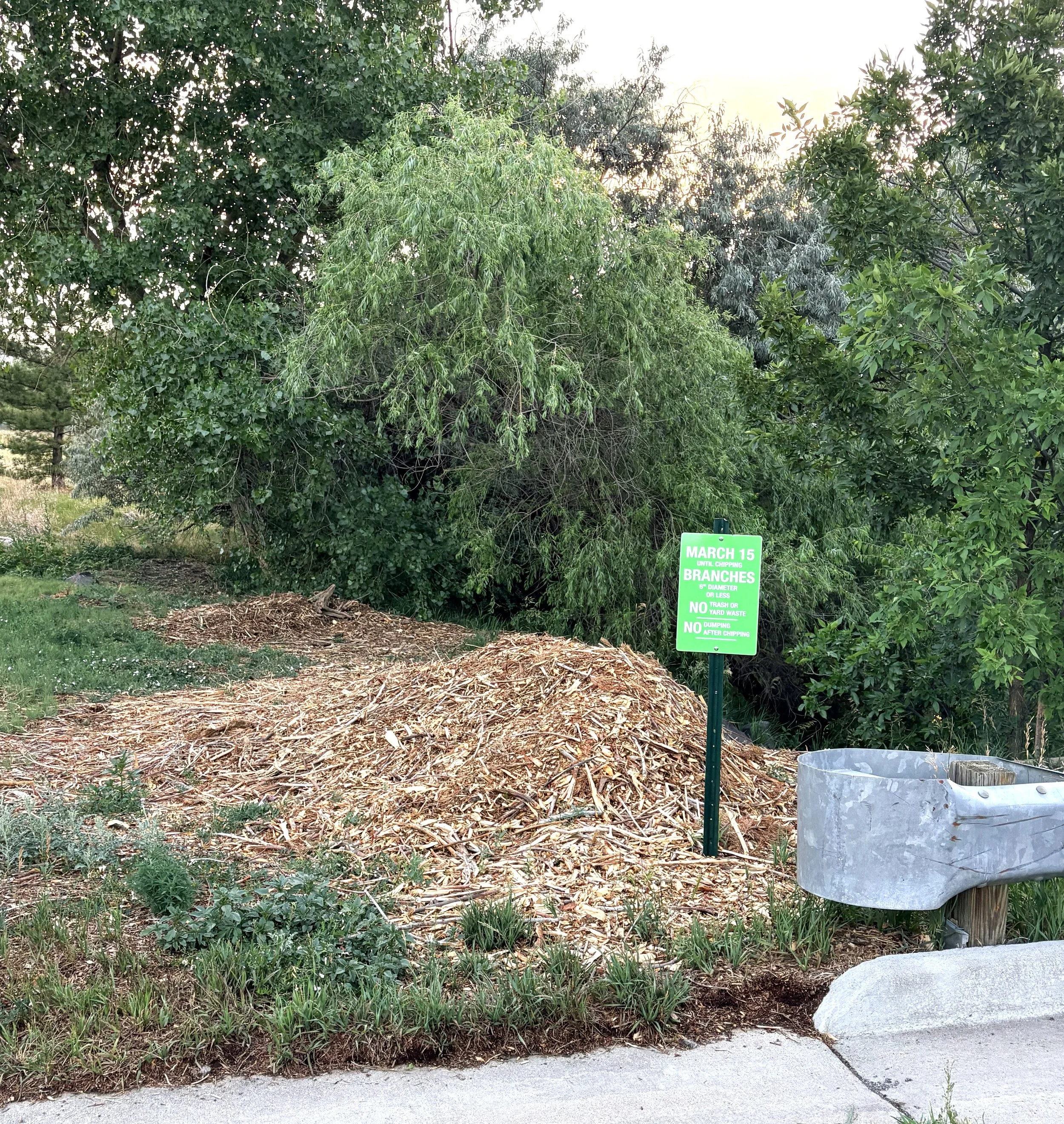 Tues, June 2, 2026: Wood Chipping