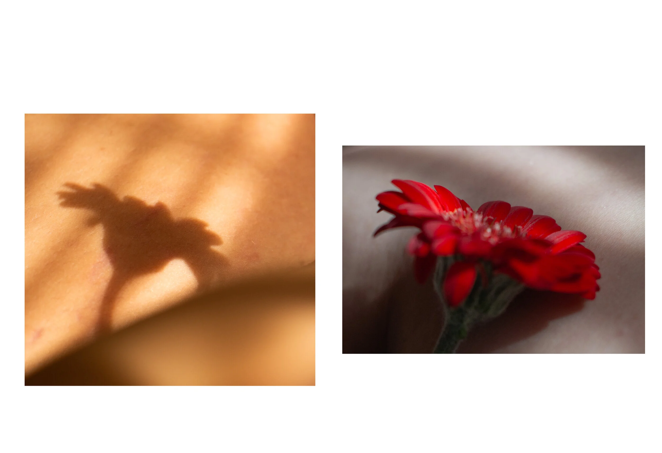 Untitled-10.jpg