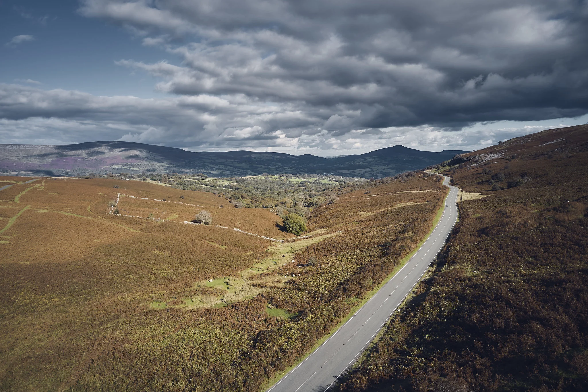 What s A Check Code And How To I Get One Glampify What s a check code and how to i get one glampify