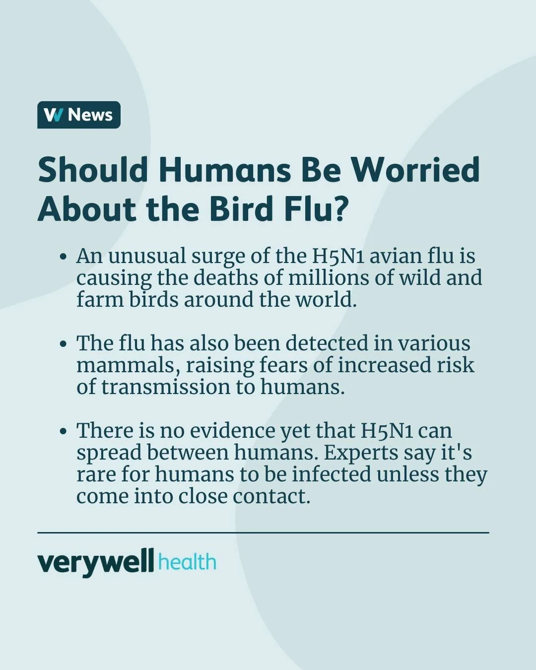 Head to the link in our bio for more on how the bird flu can infect other animal species, if the bird flu can cause an outbreak in humans, and if it's still safe to eat eggs and chickens.