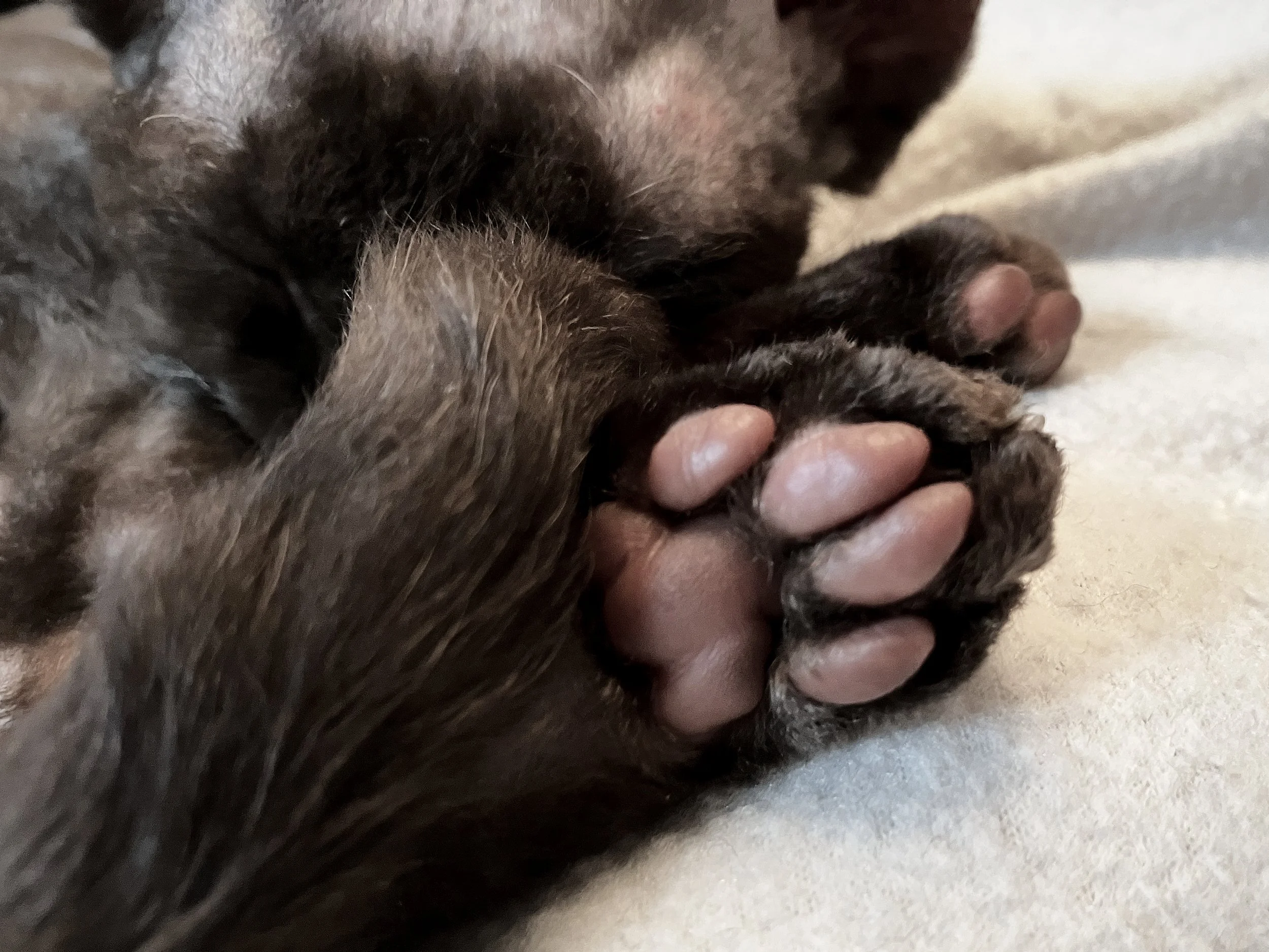 kitties_20230821_0754 1.jpg