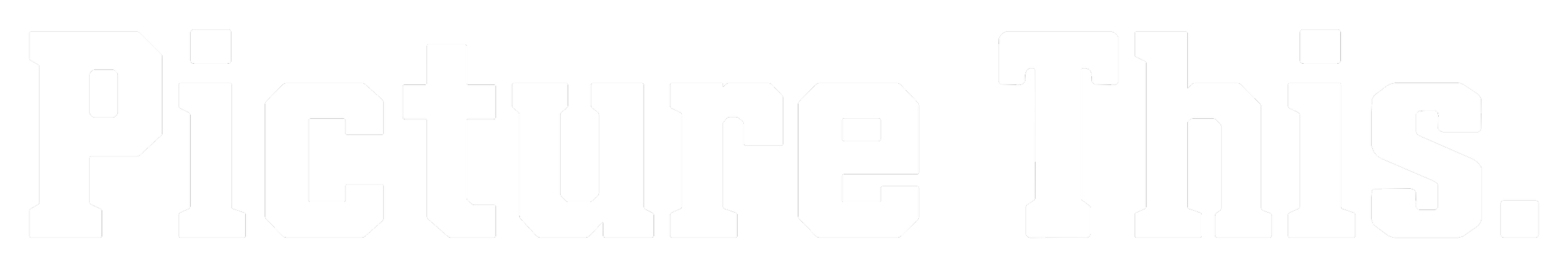 White text on a black background that reads 'Picture This.'