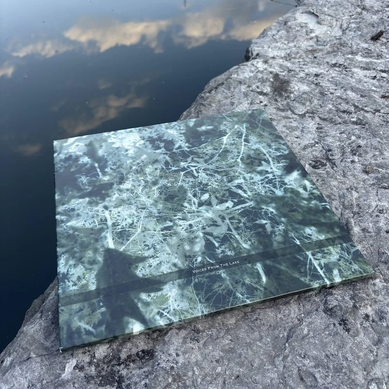Voices From The Lake (2023 Edition)