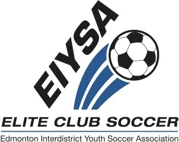 EIYSA logo-vector art PDF.jpg