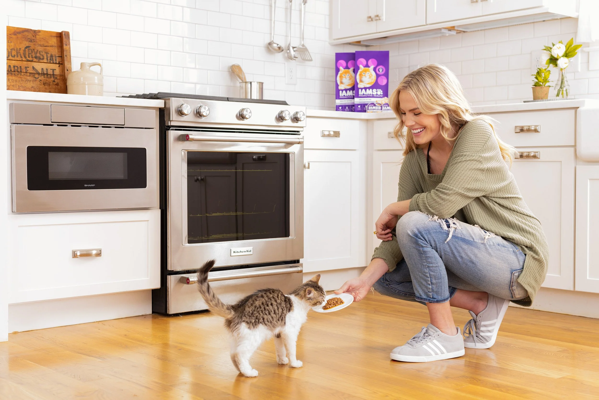 IAMS KITTEN 2446.jpeg