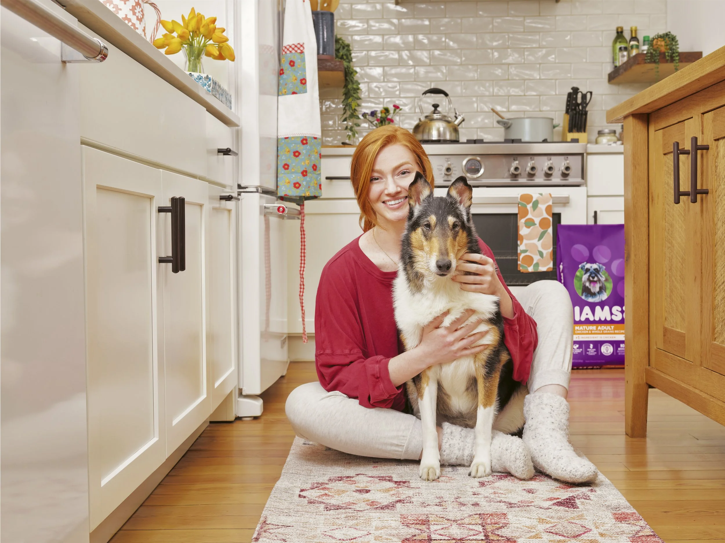 IAMS DOG LIFESTYLE_SENIOR_16374.JPG