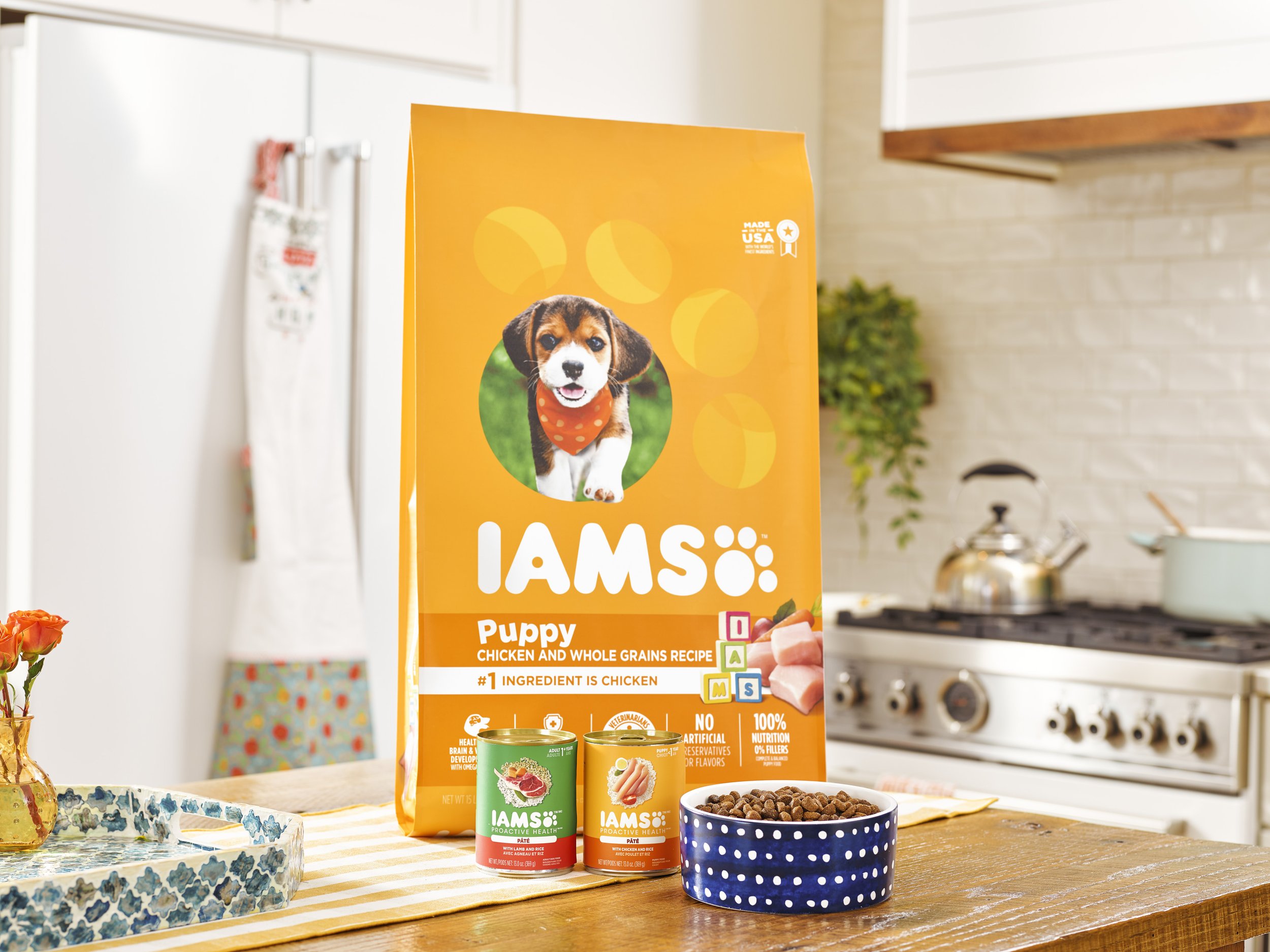 IAMS DOG LIFESTYLE_PRODUCT_16183.jpg