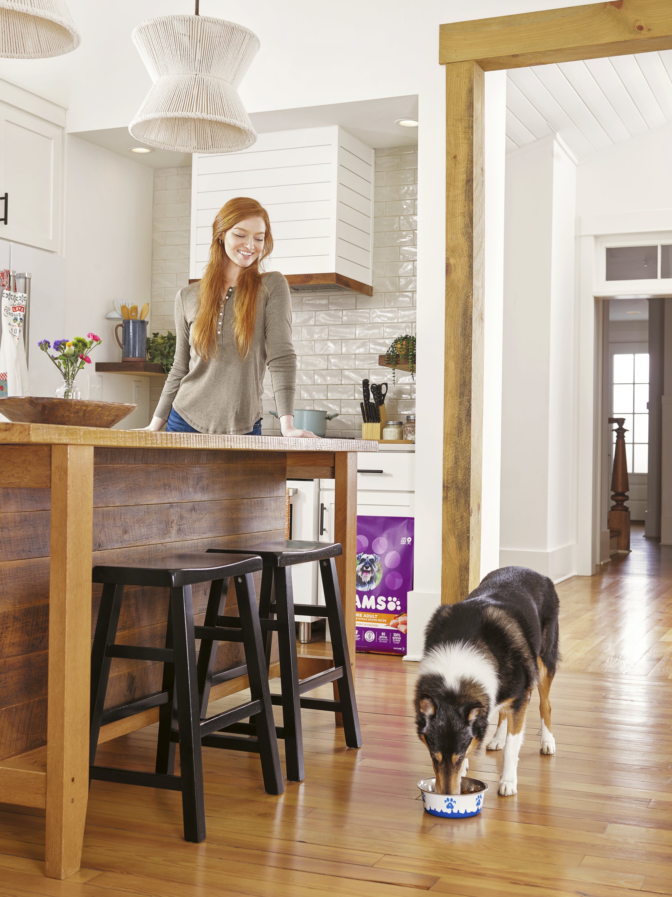 IAMS DOG LIFESTYLE_SENIOR_16262.JPG