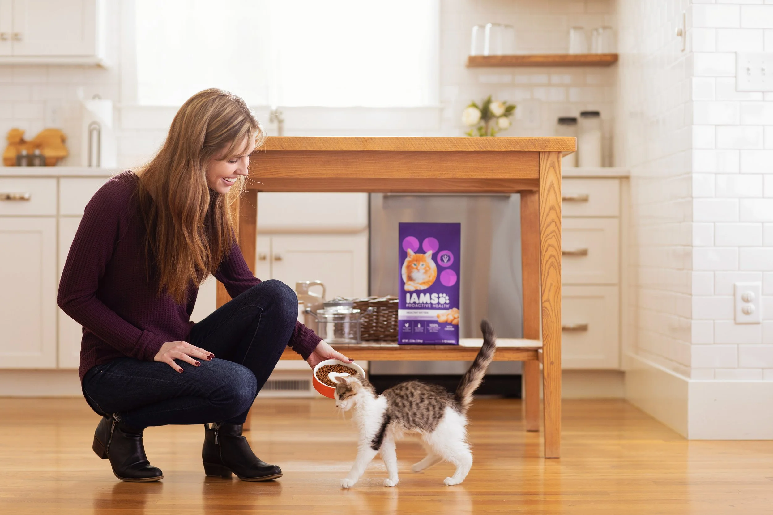 IAMS Kitten2137.jpeg