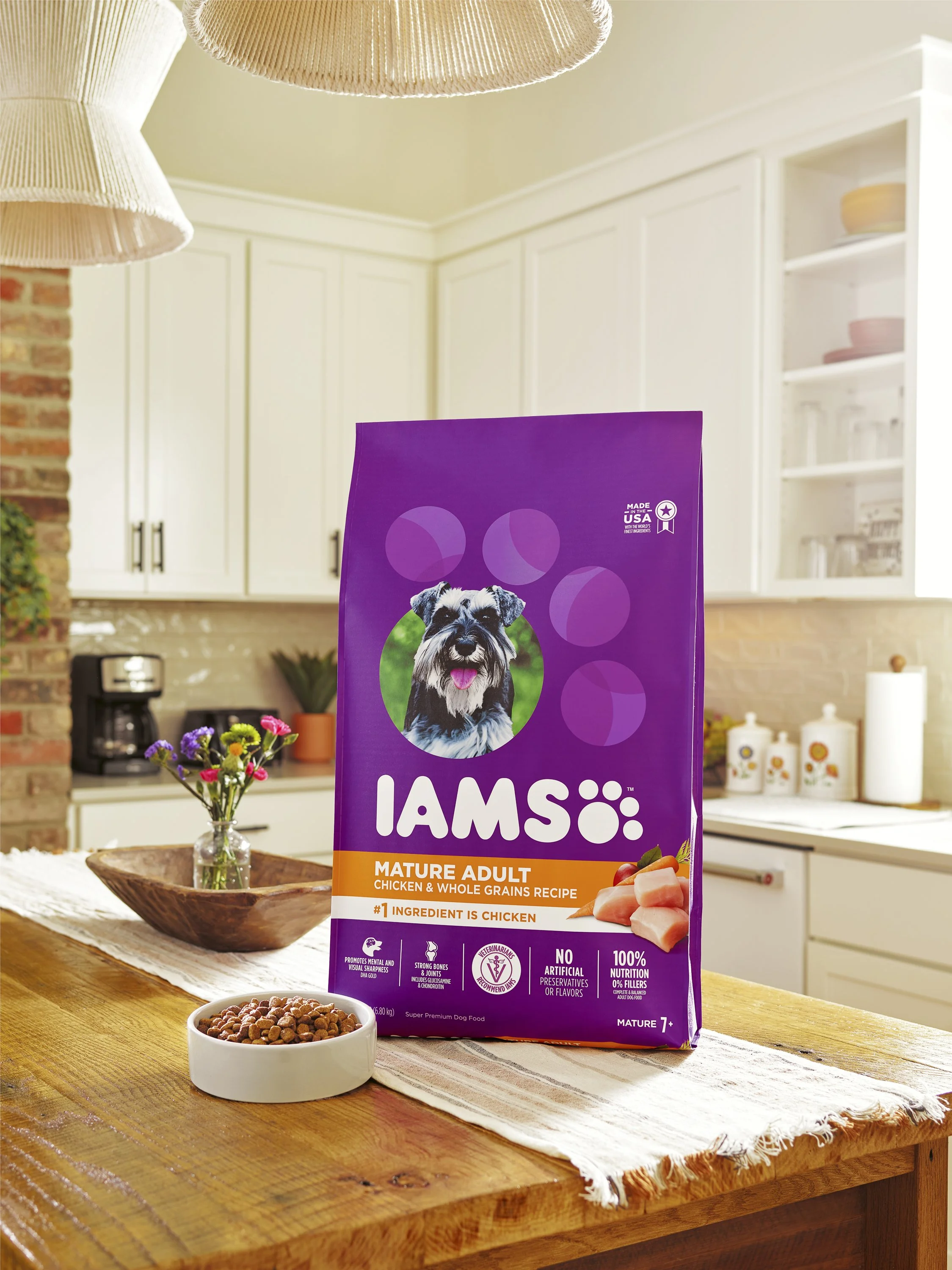 IAMS DOG LIFESTYLE_SENIOR_16402.JPG