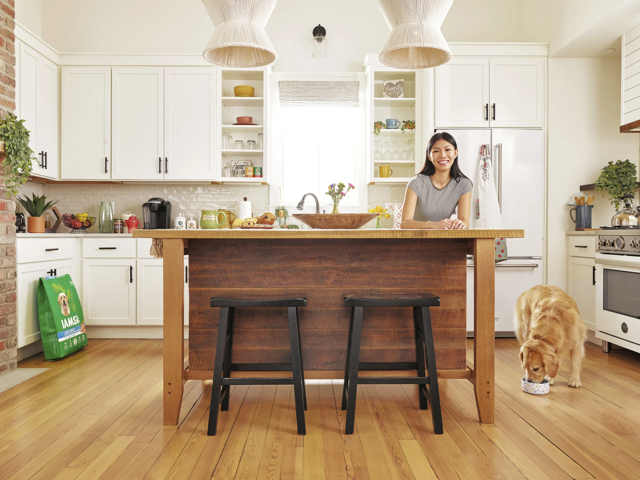 IAMS DOG LIFESTYLE_ADULT_16583.JPG