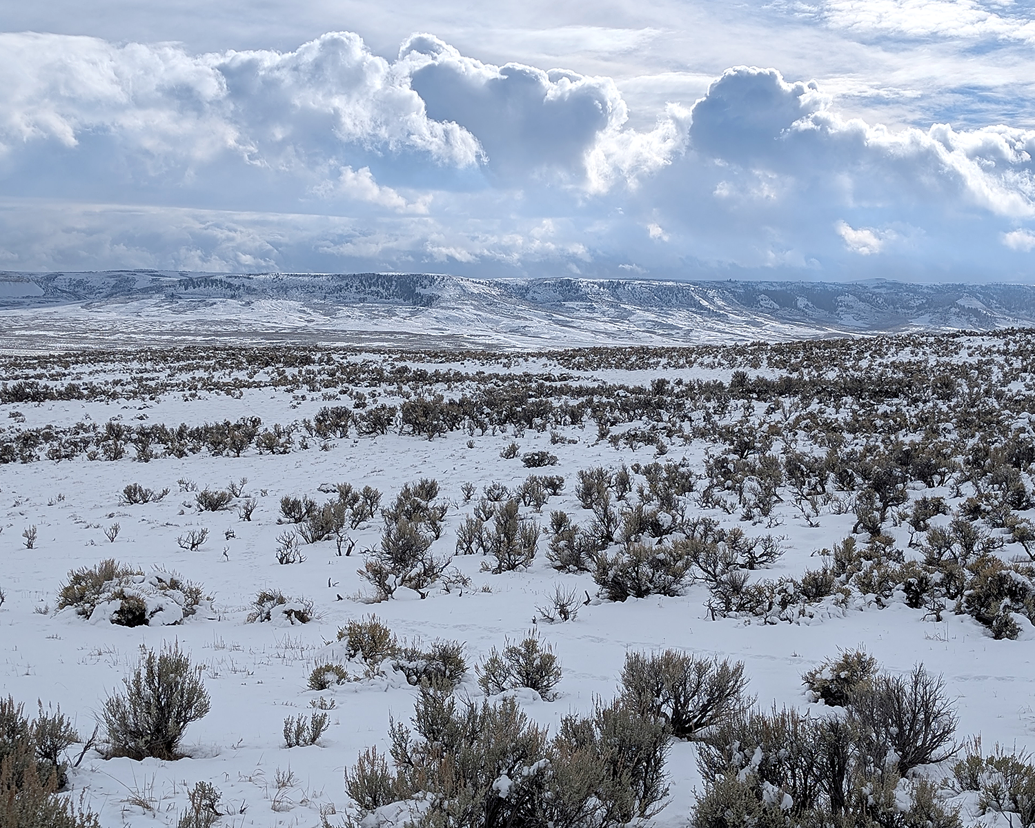 Kemmerer, Wyo.