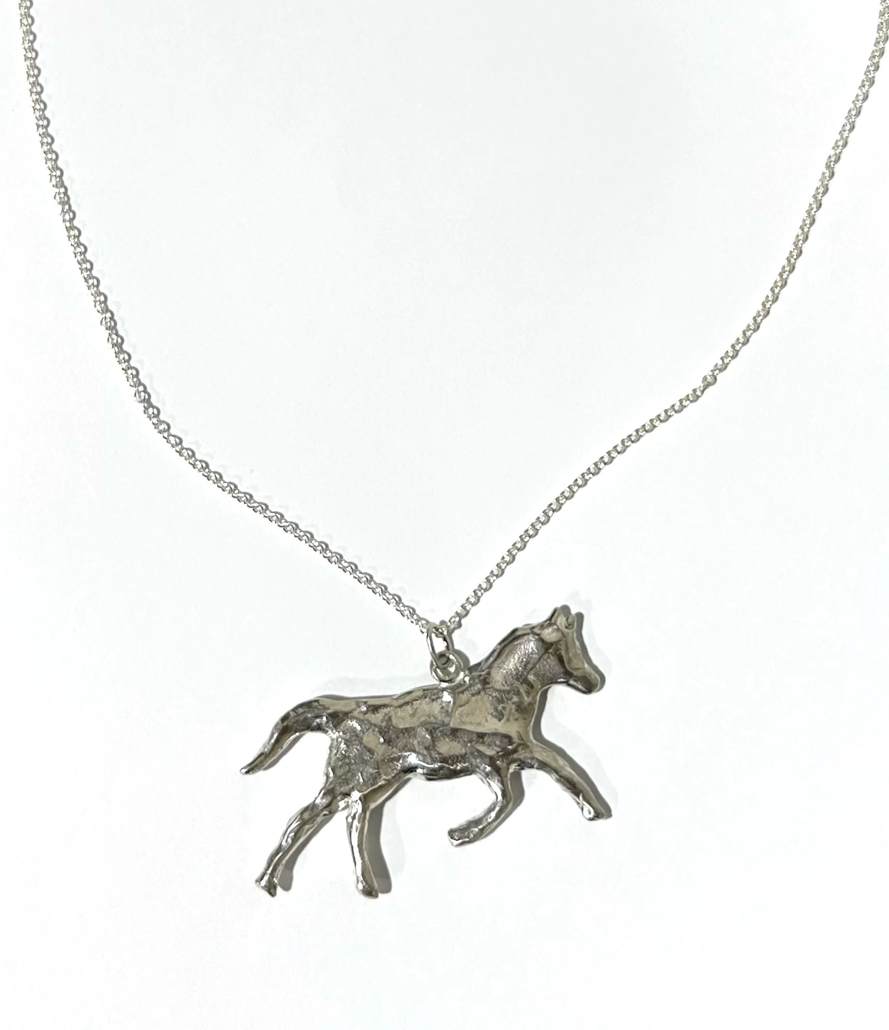 silverhorse02.jpg