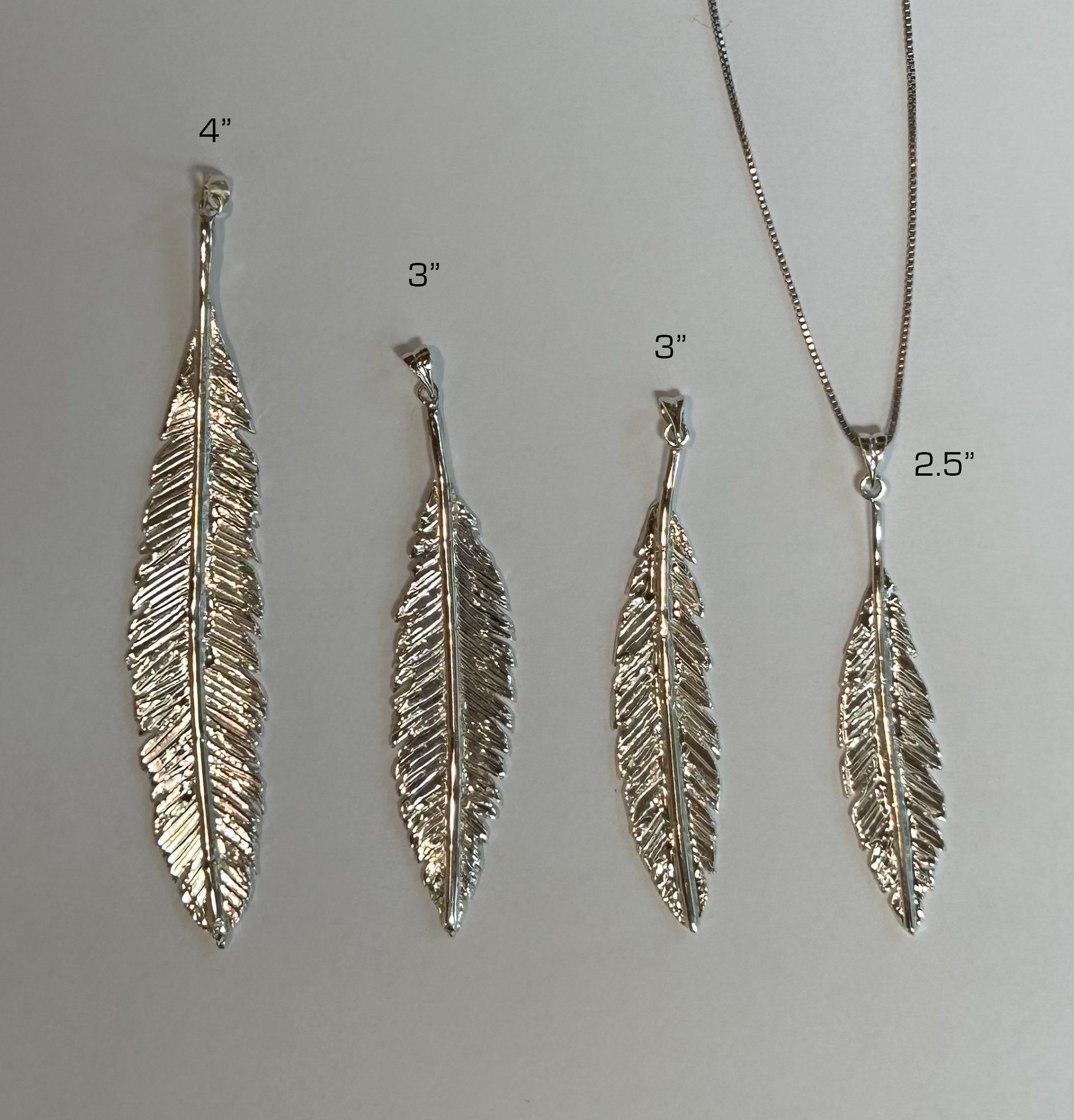 feathers with measure.jpg