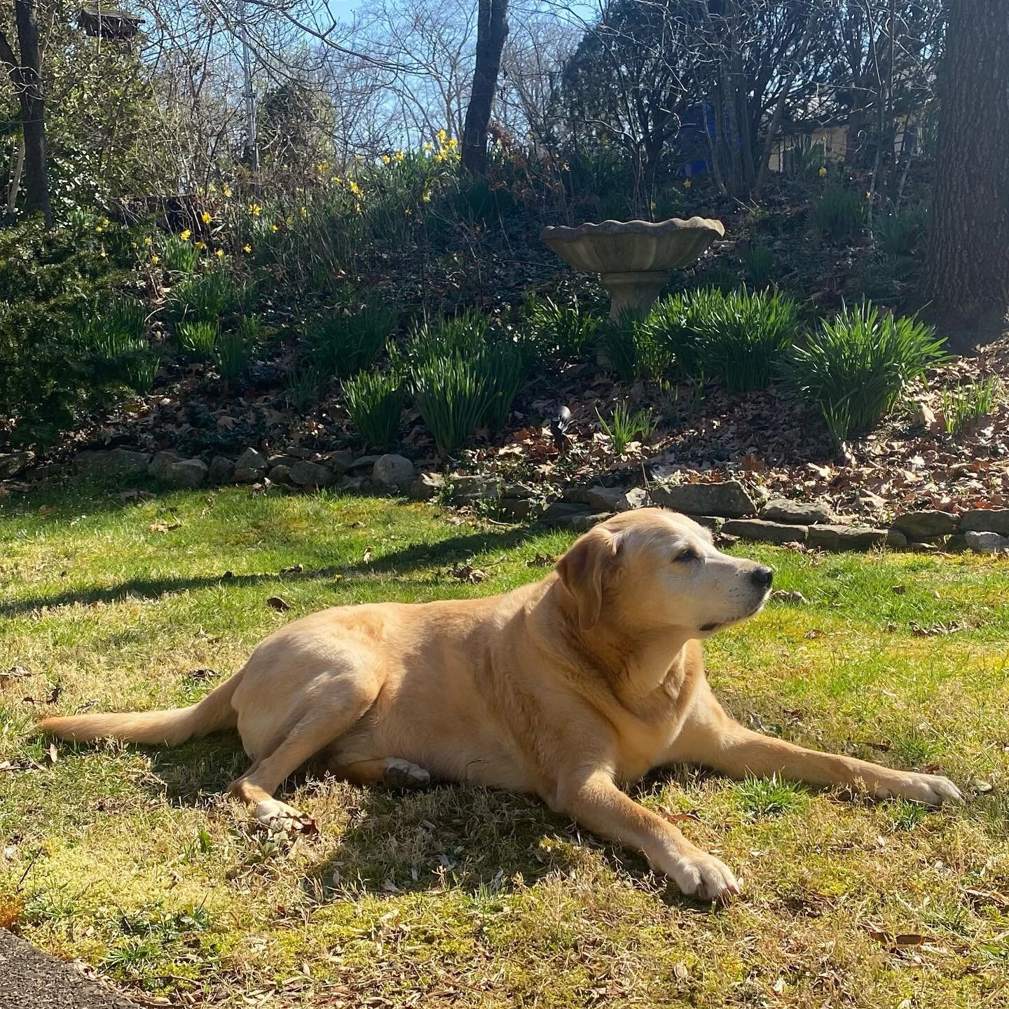 My staff (shown hard at work here) and I had a sunshiny lunchtime retreat today.

Spring and spring races are on the way you all - time to get your body and mind working together as a greater whole.

I&rsquo;m here to help that happen - message me an