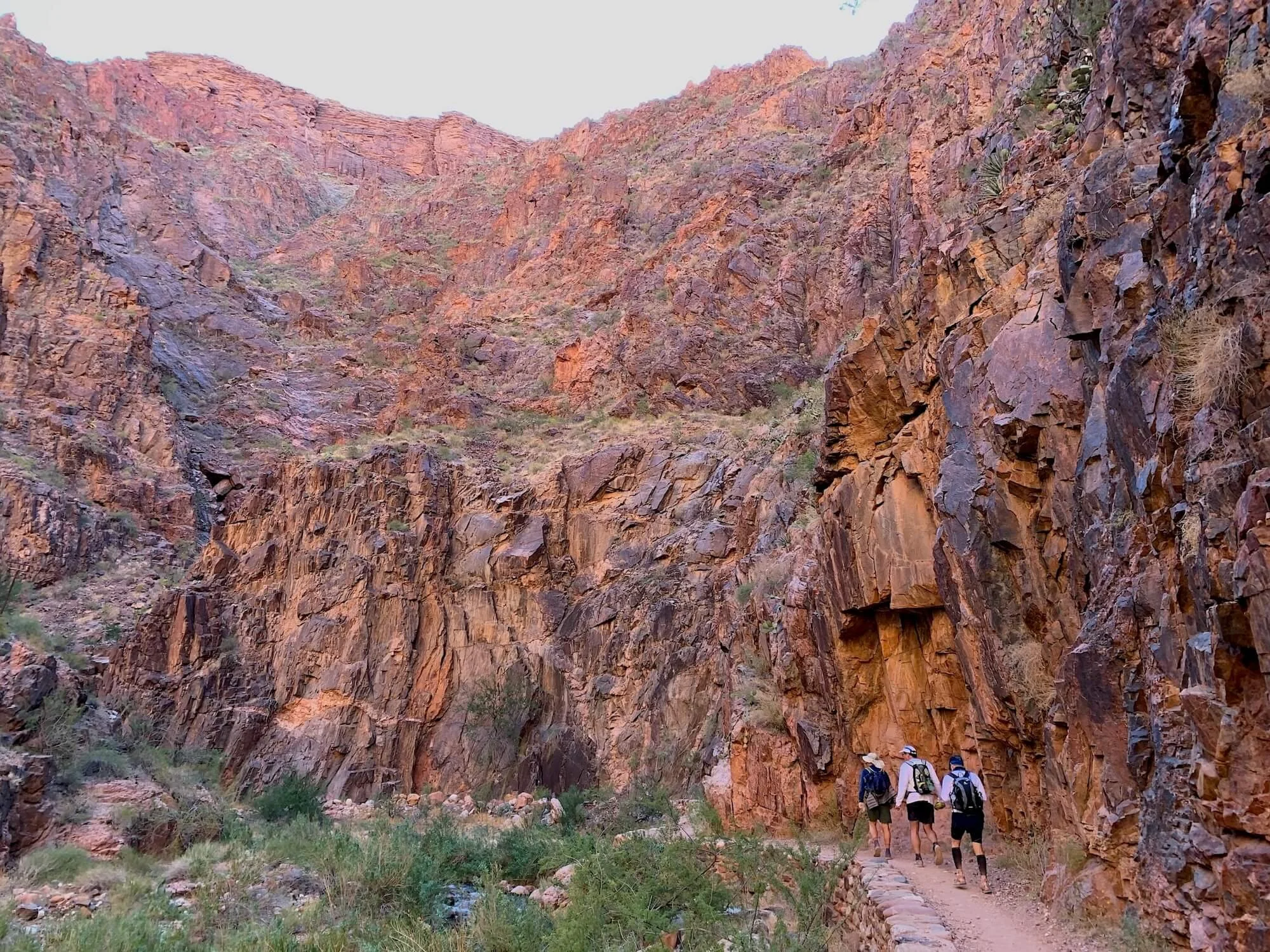 Your Race Goal Might Just Be Insurance