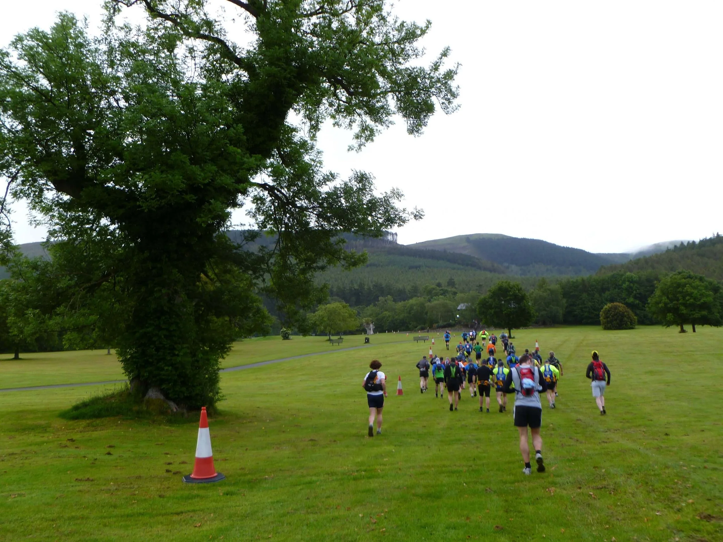 Should You Count Miles Up or Down (It Matters More Than You Think)