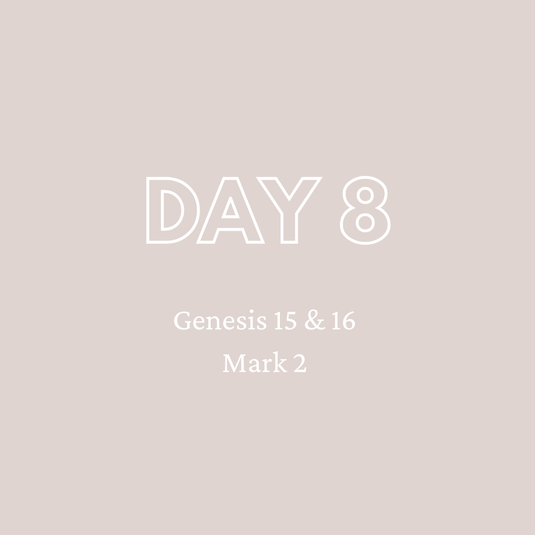 Daily Devotion - Day 8