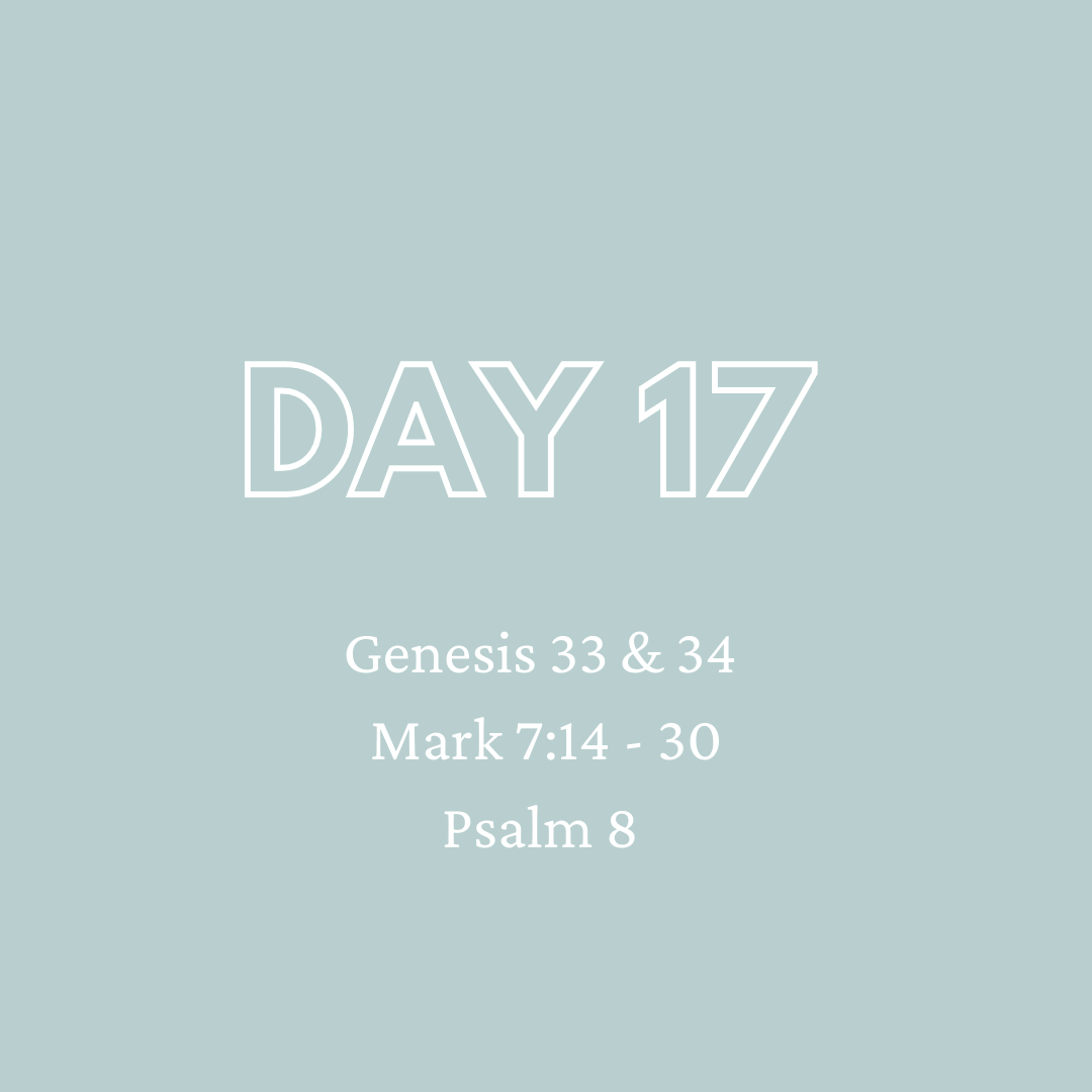 Daily Devotion - Day 17