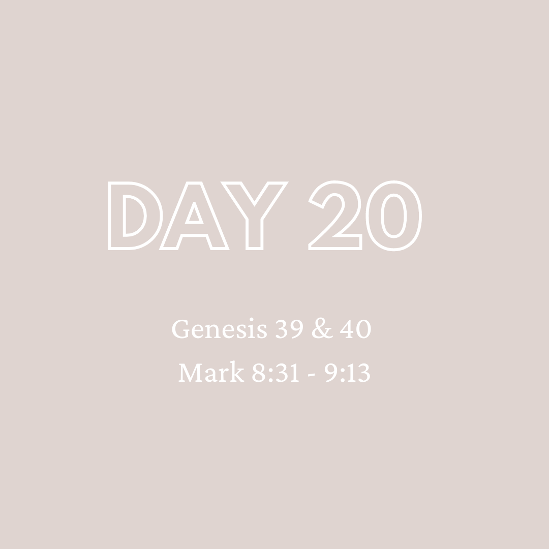 Daily Devotion - Day 20