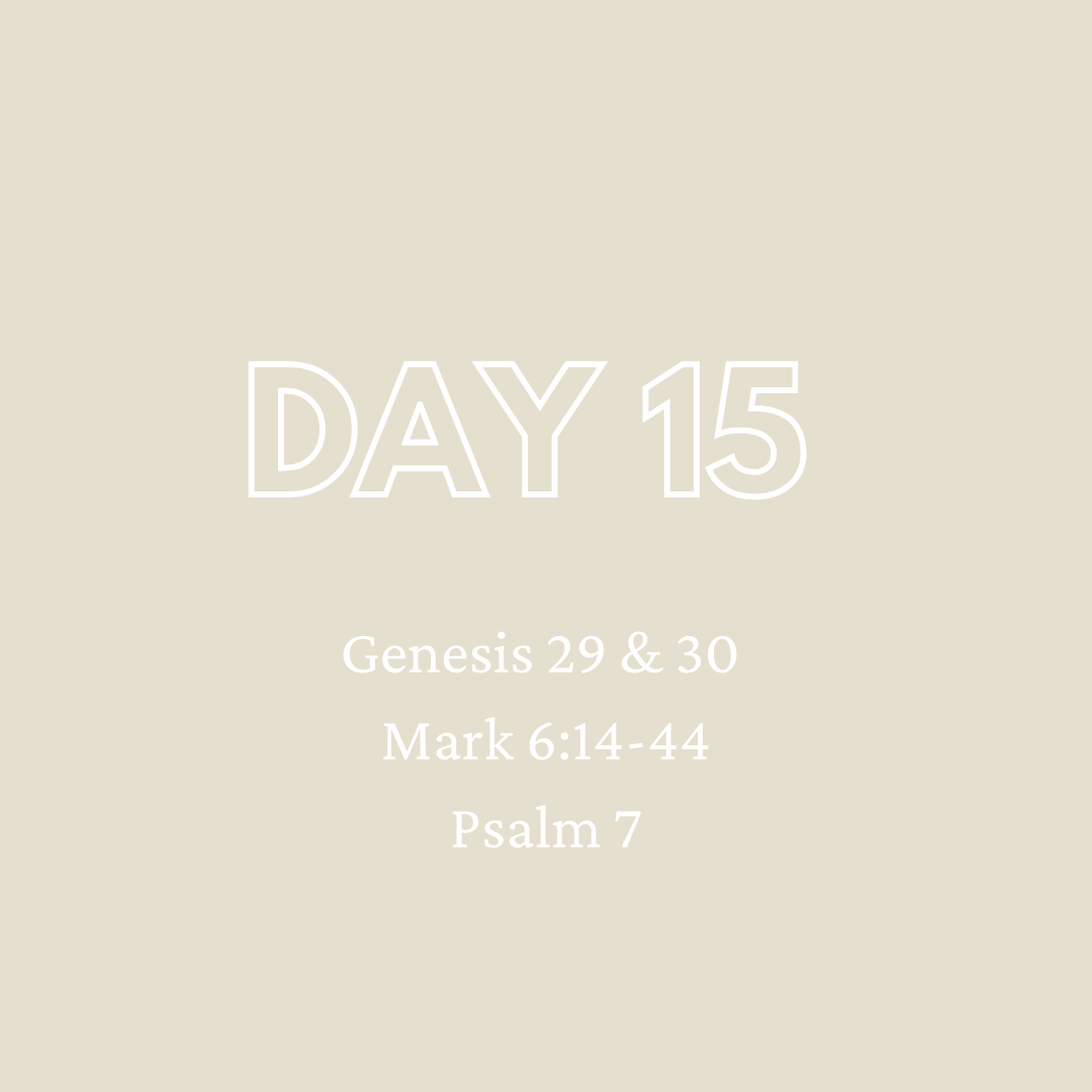 Daily Devotion - Day 15