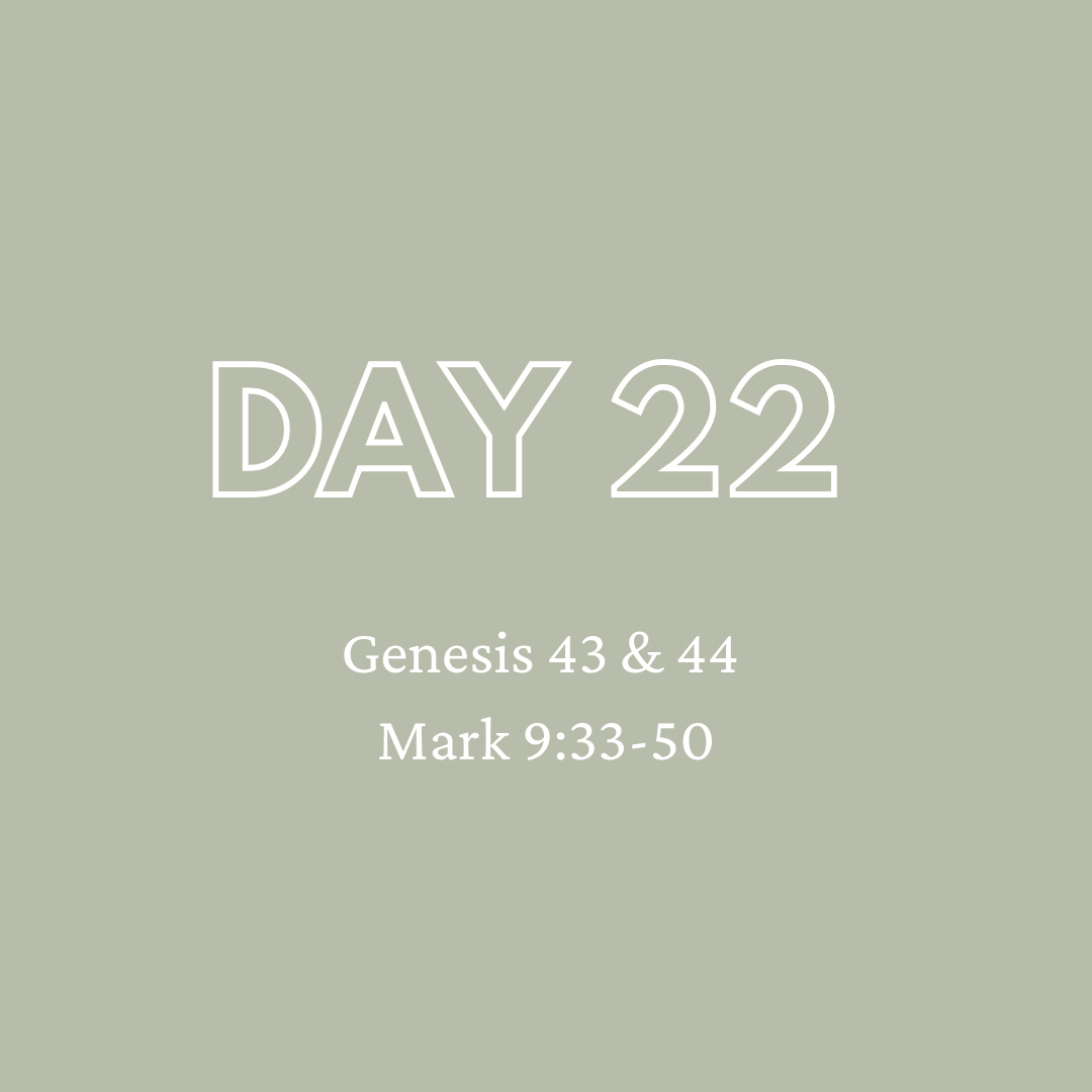 Daily Devotion - Day 22