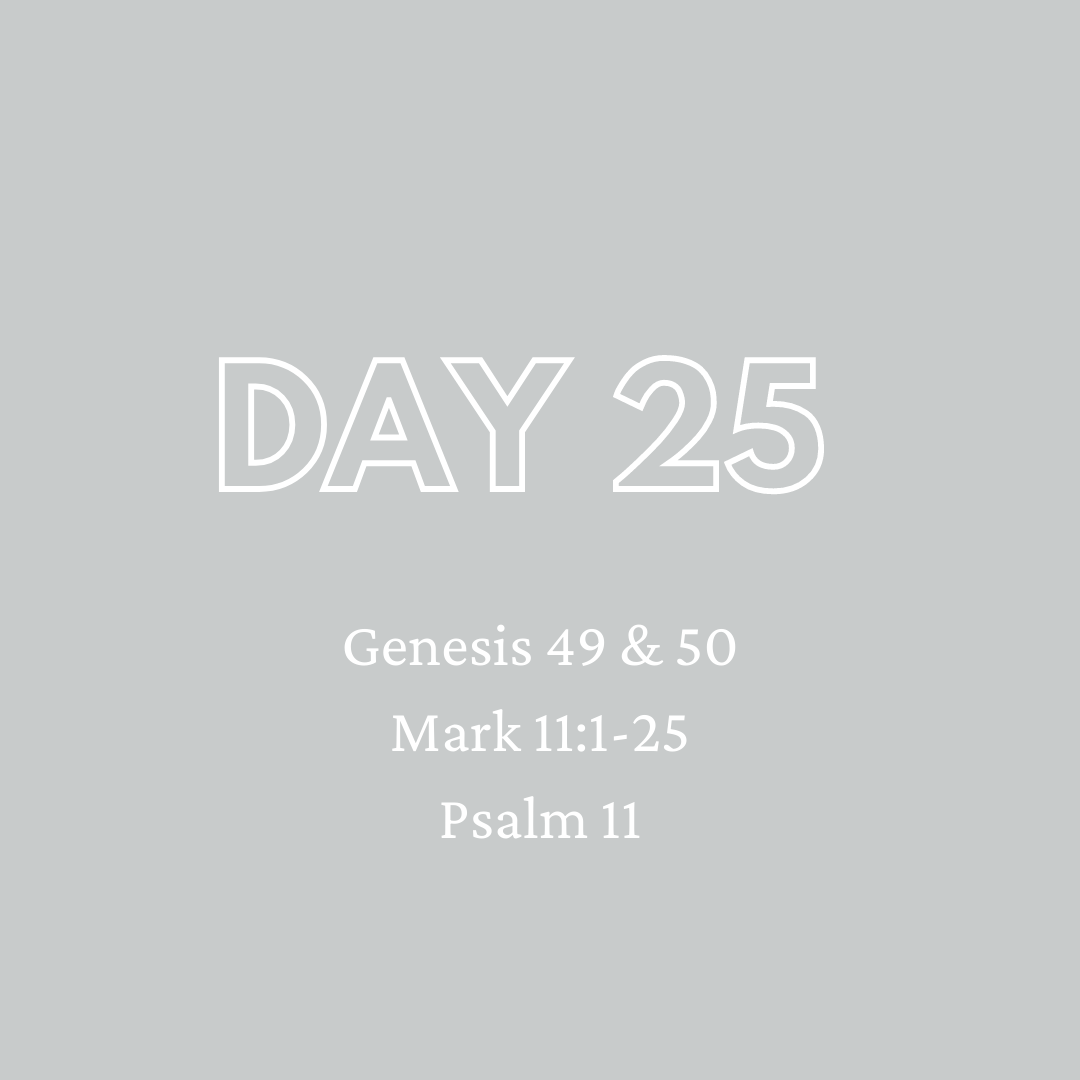 Daily Devotion - Day 25
