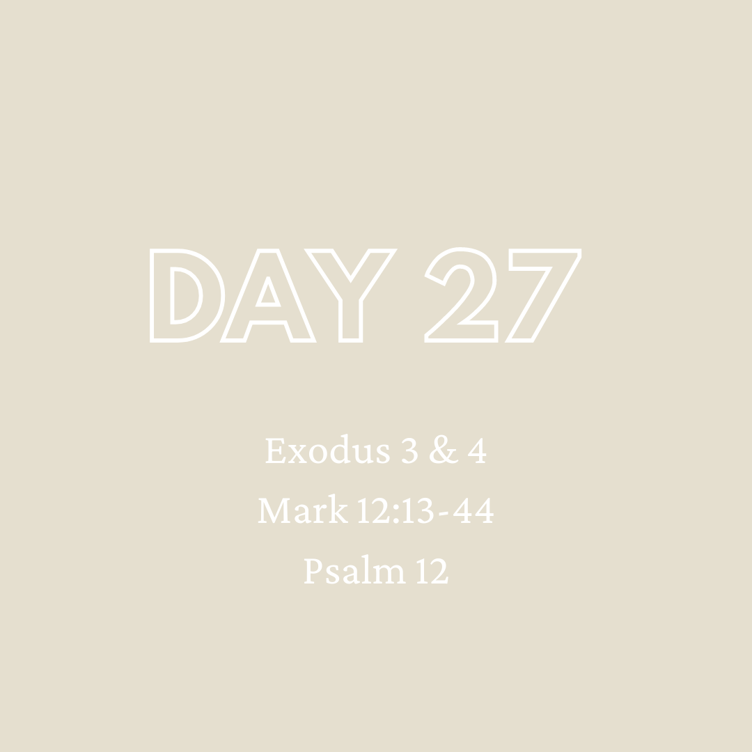 Daily Devotion - Day 27