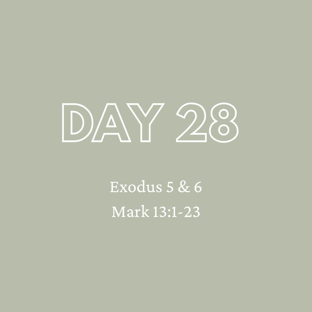 Daily Devotion - Day 28