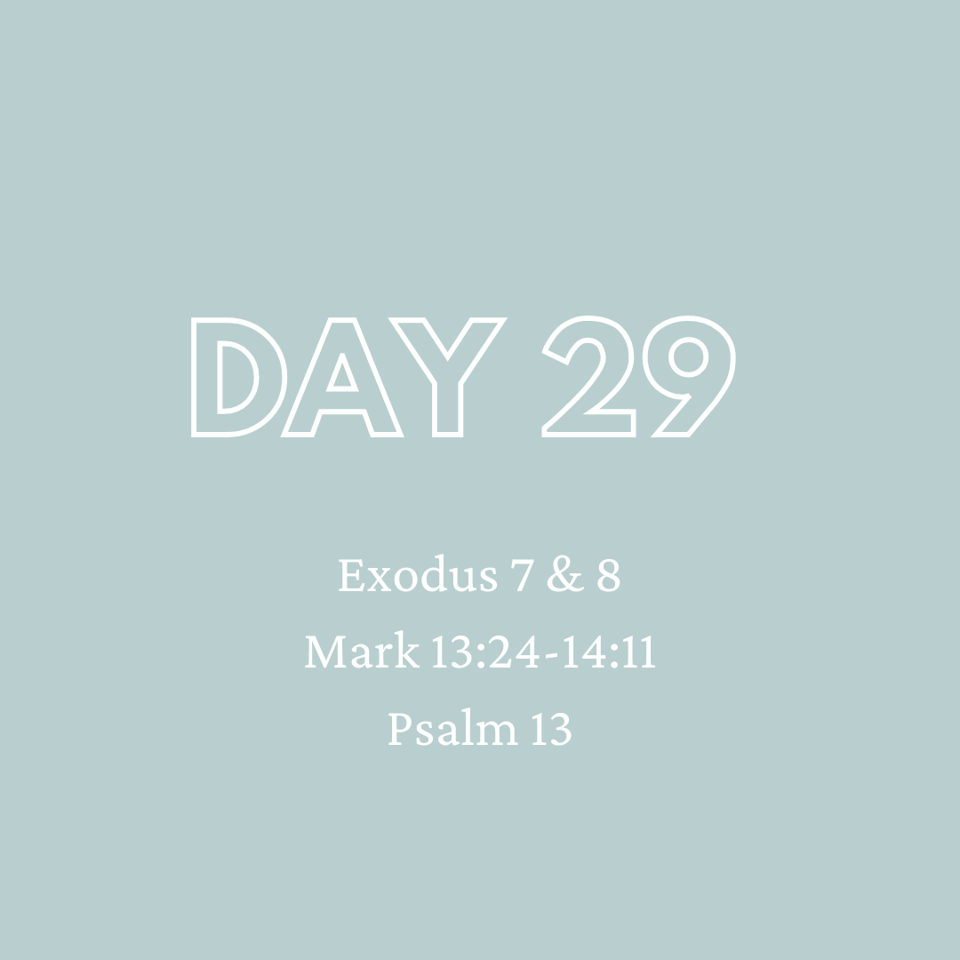 Daily Devotion - Day 29