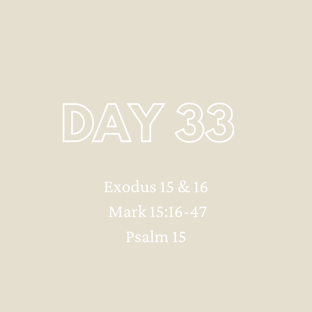 Daily Devotion - Day 33