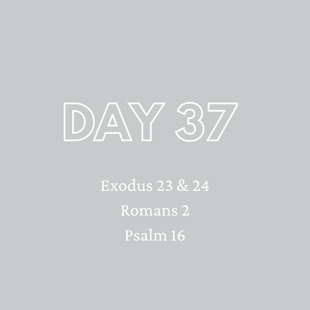 Daily Devotion - Day 37