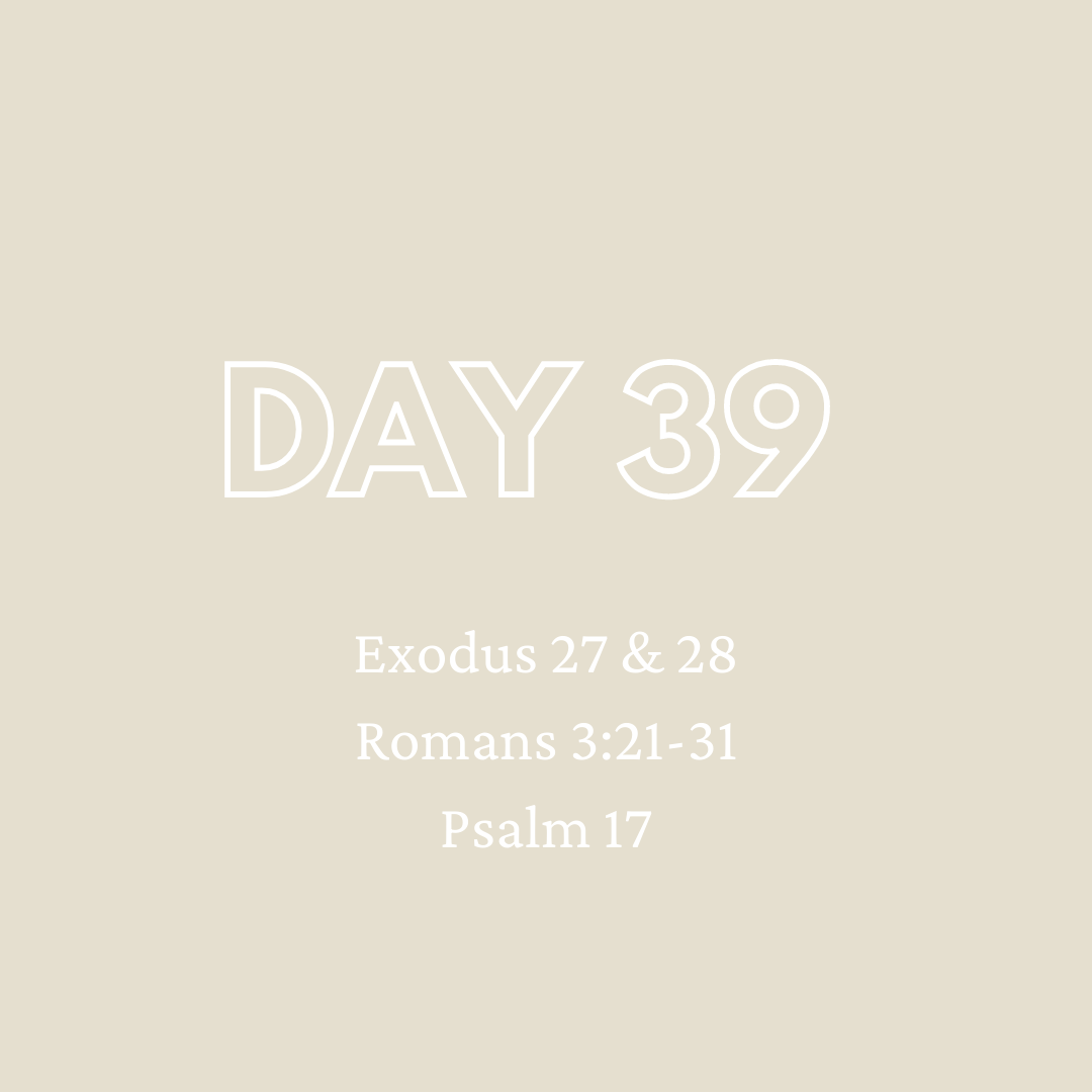 Daily Devotion - Day 39