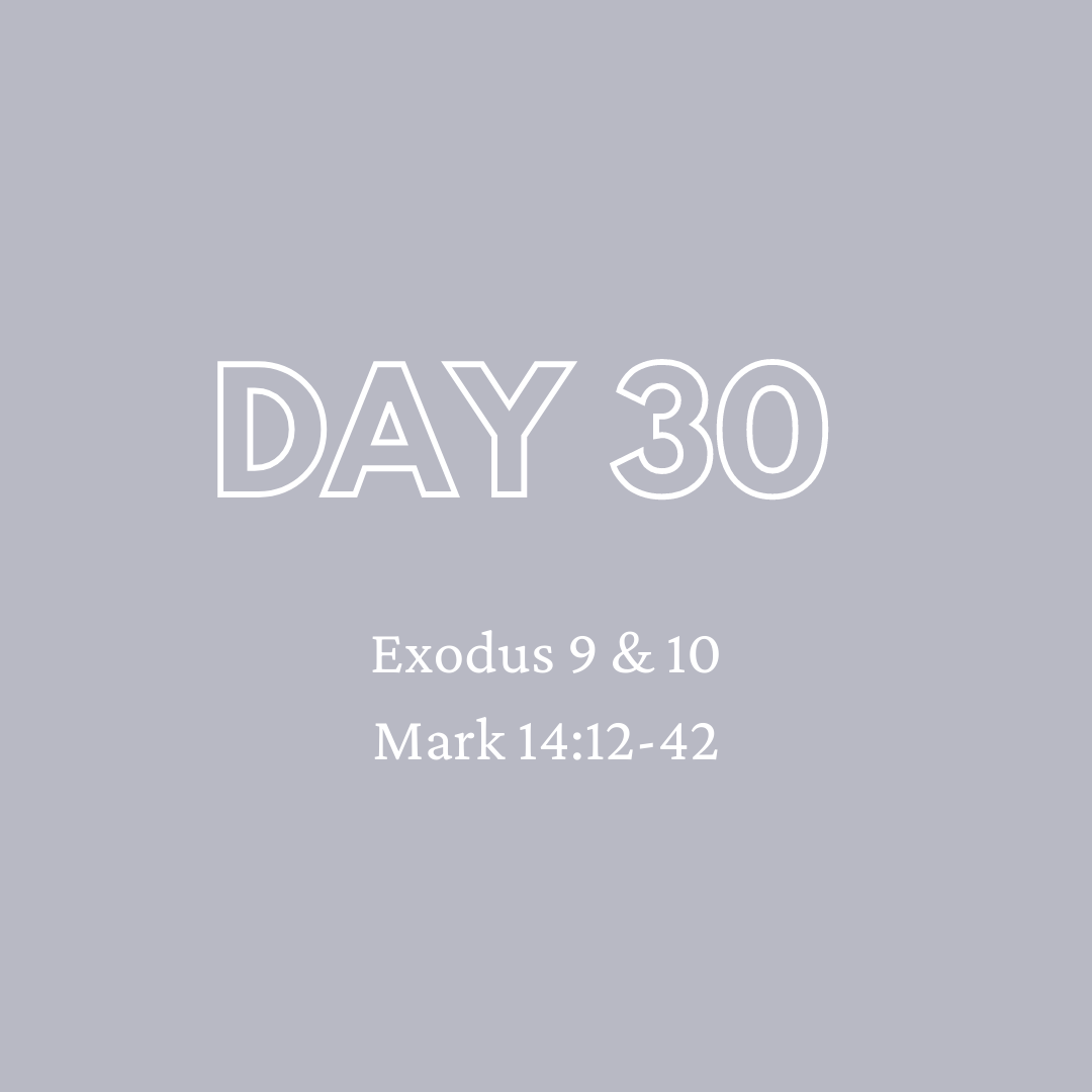 Daily Devotion - Day 30