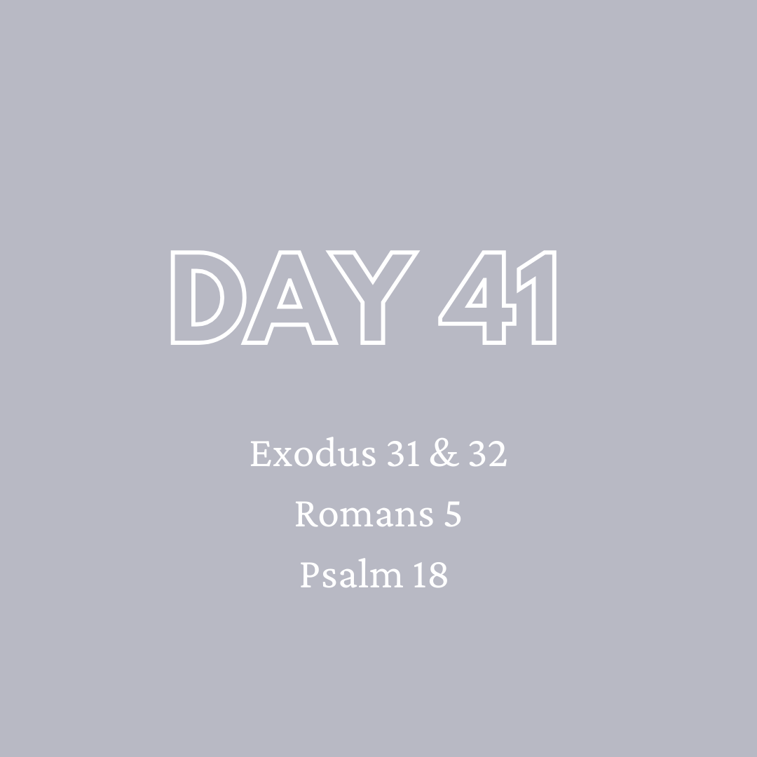Daily Devotion - Day 41