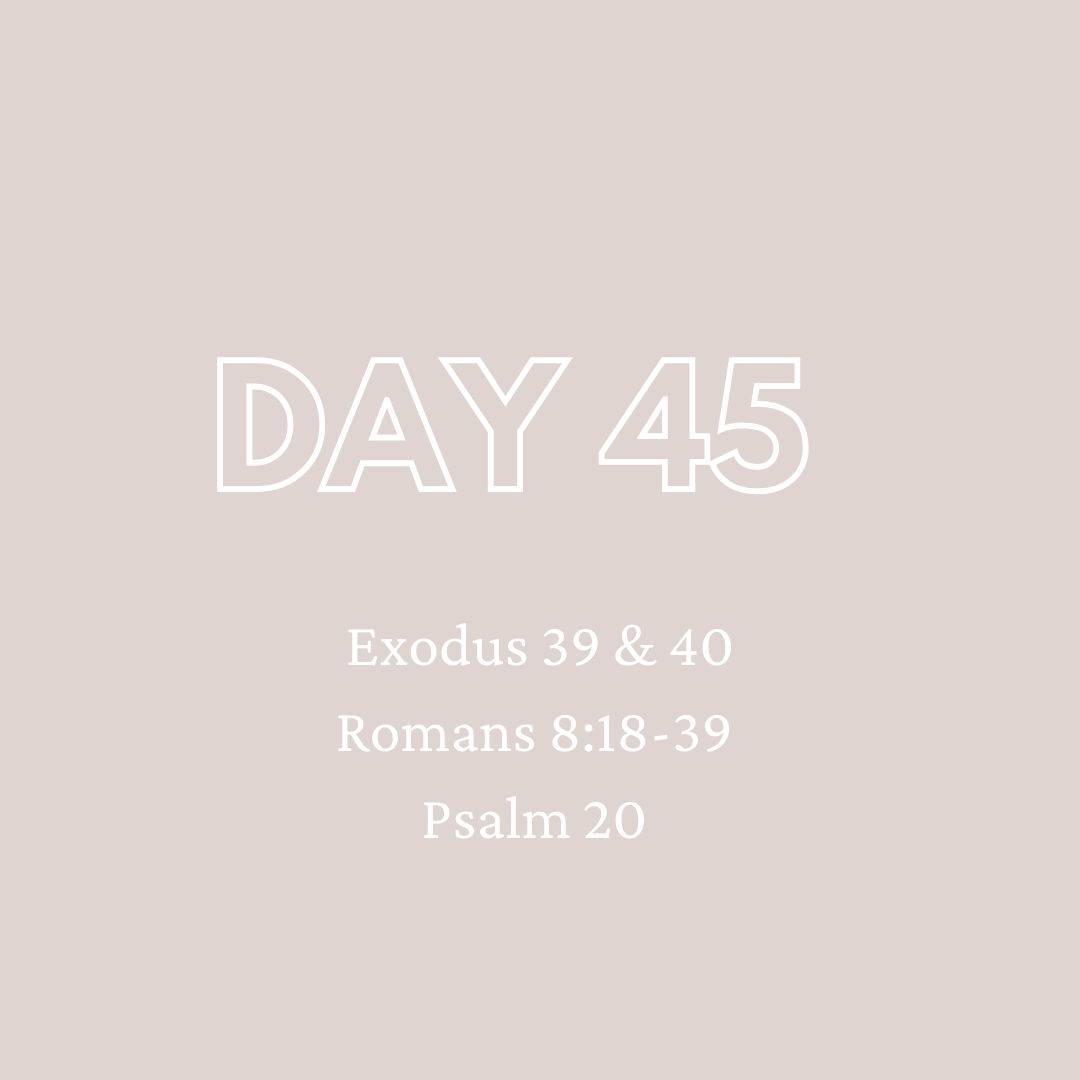Daily Devotion - Day 45