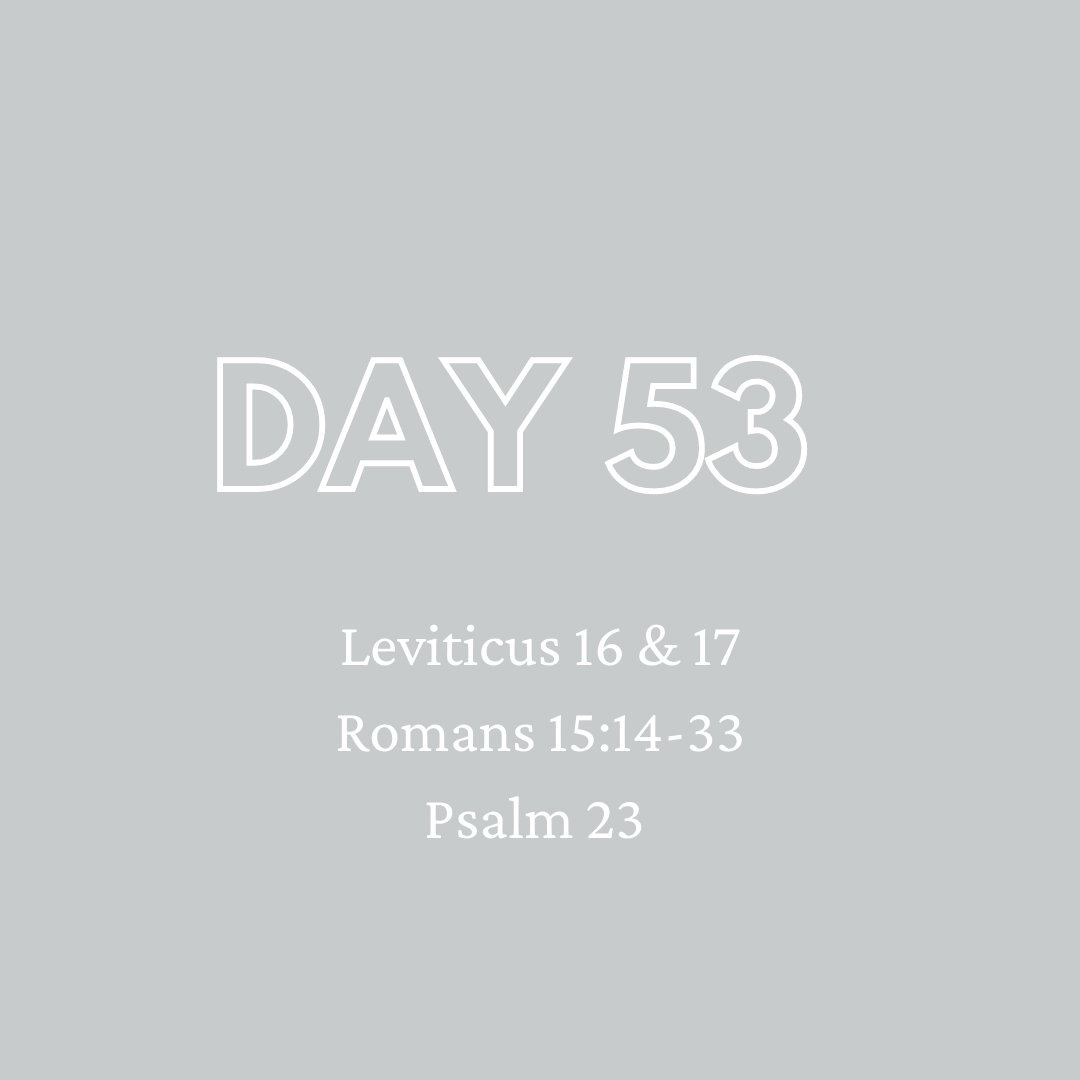 Daily Devotion - Day 53
