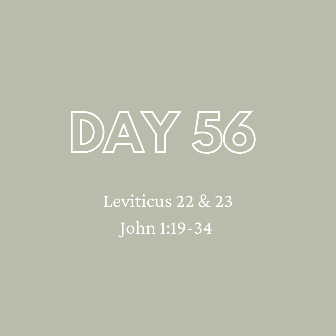 Daily Devotion - Day 56