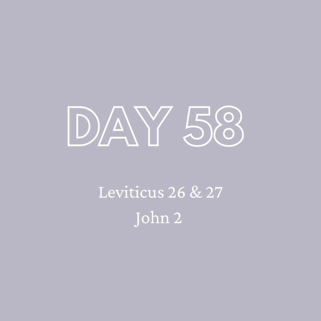 Daily Devotion - Day 58
