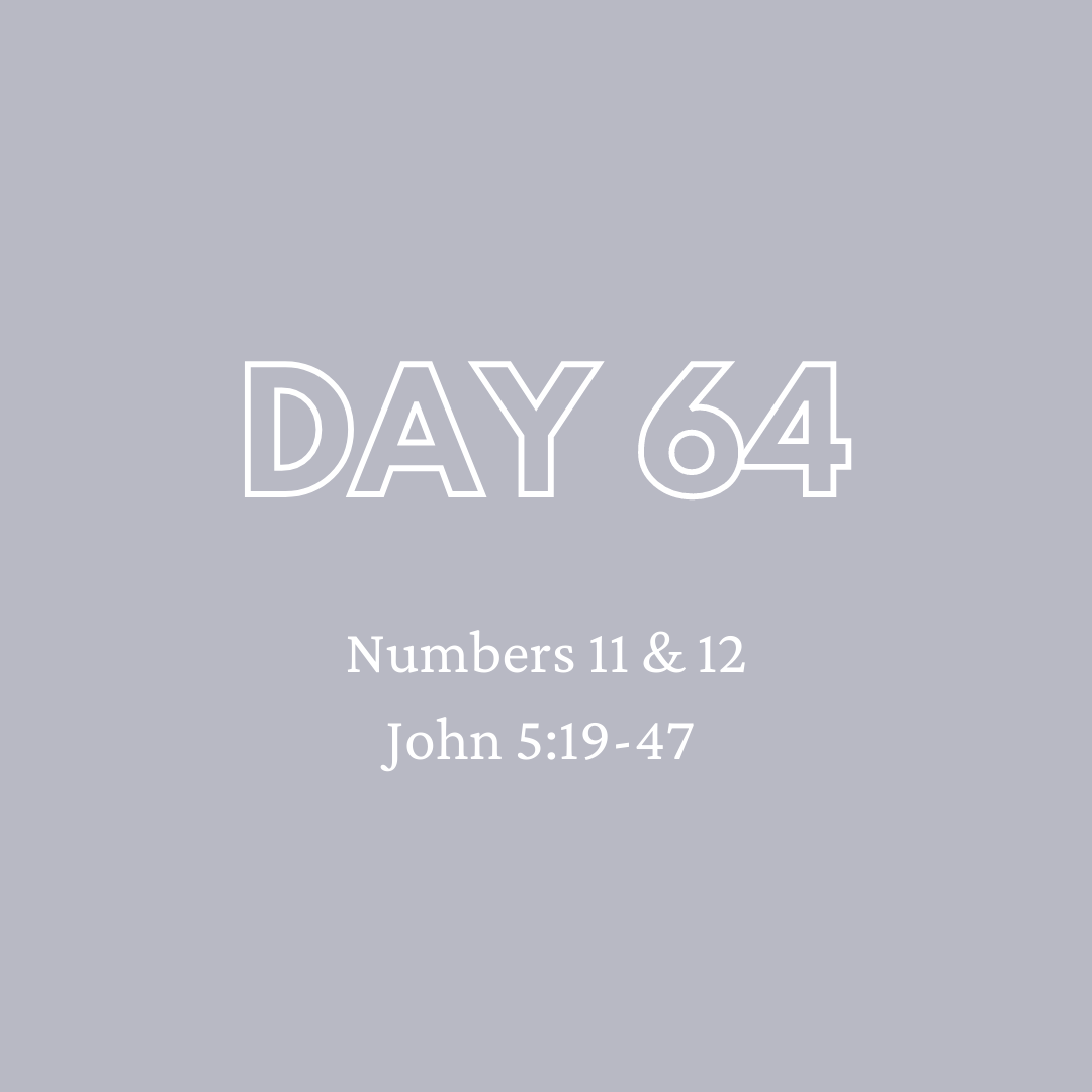 Daily Devotion - Day 64