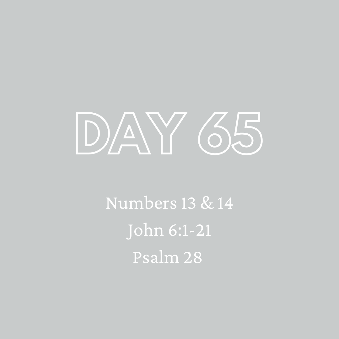 Daily Devotion - Day 65