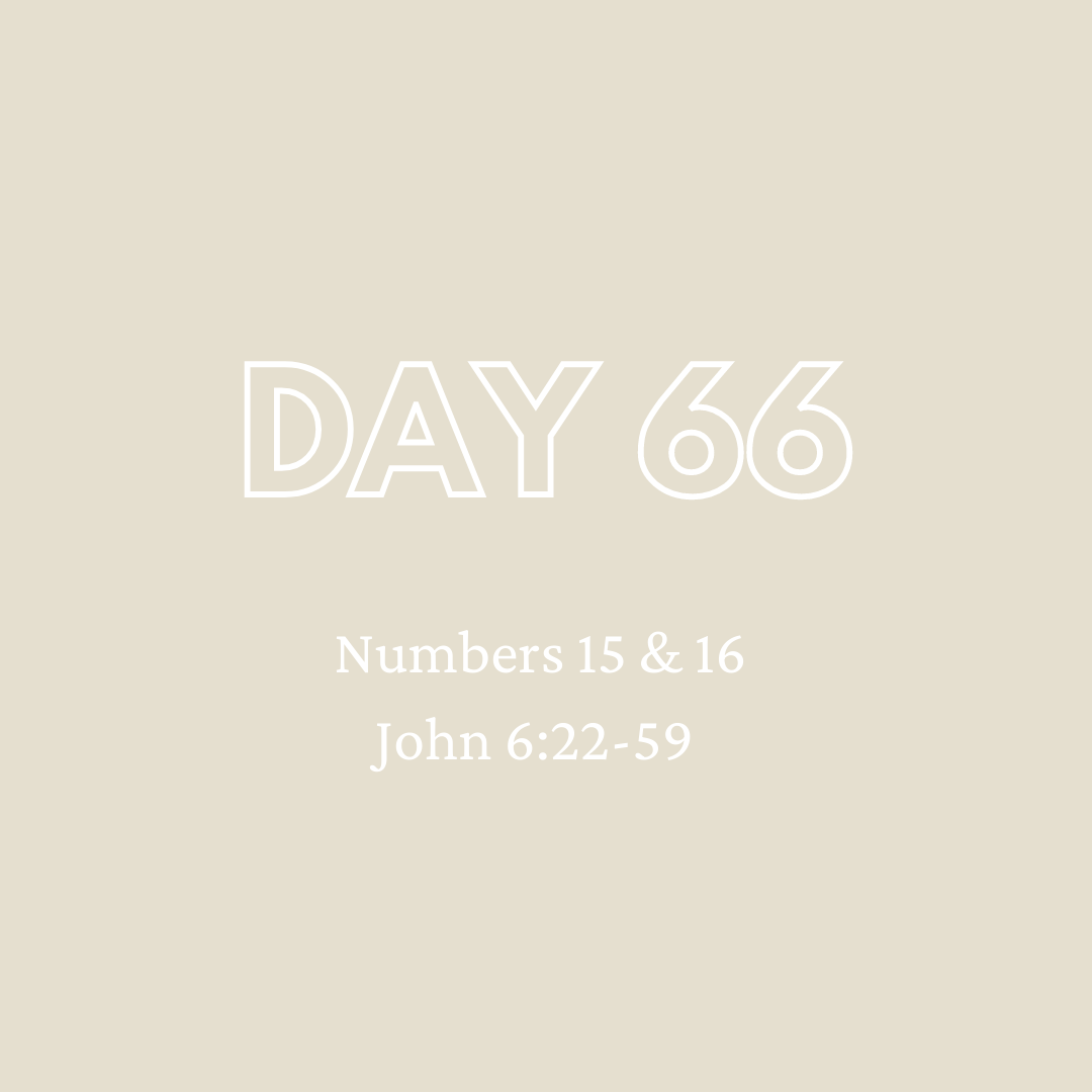 Daily Devotion - Day 66