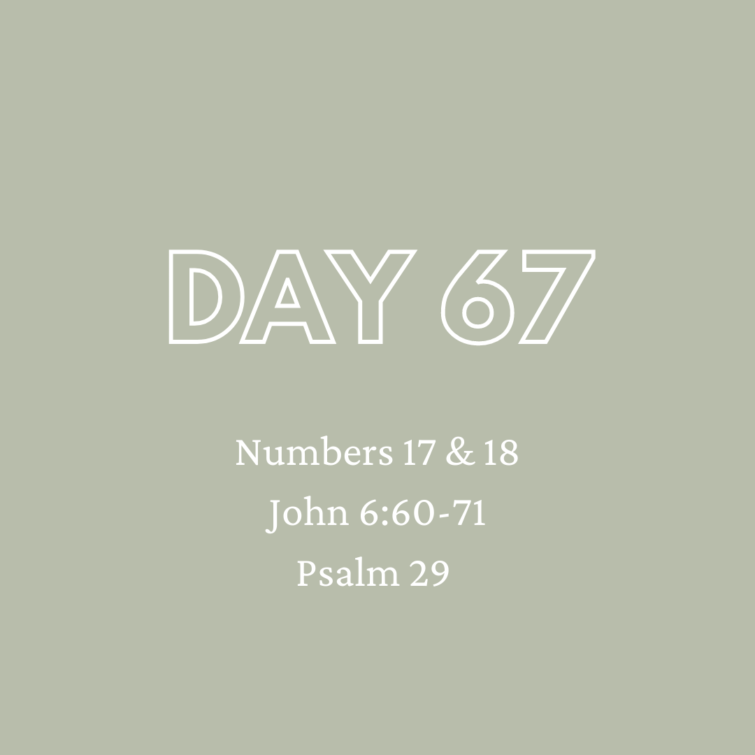 Daily Devotion - Day 67